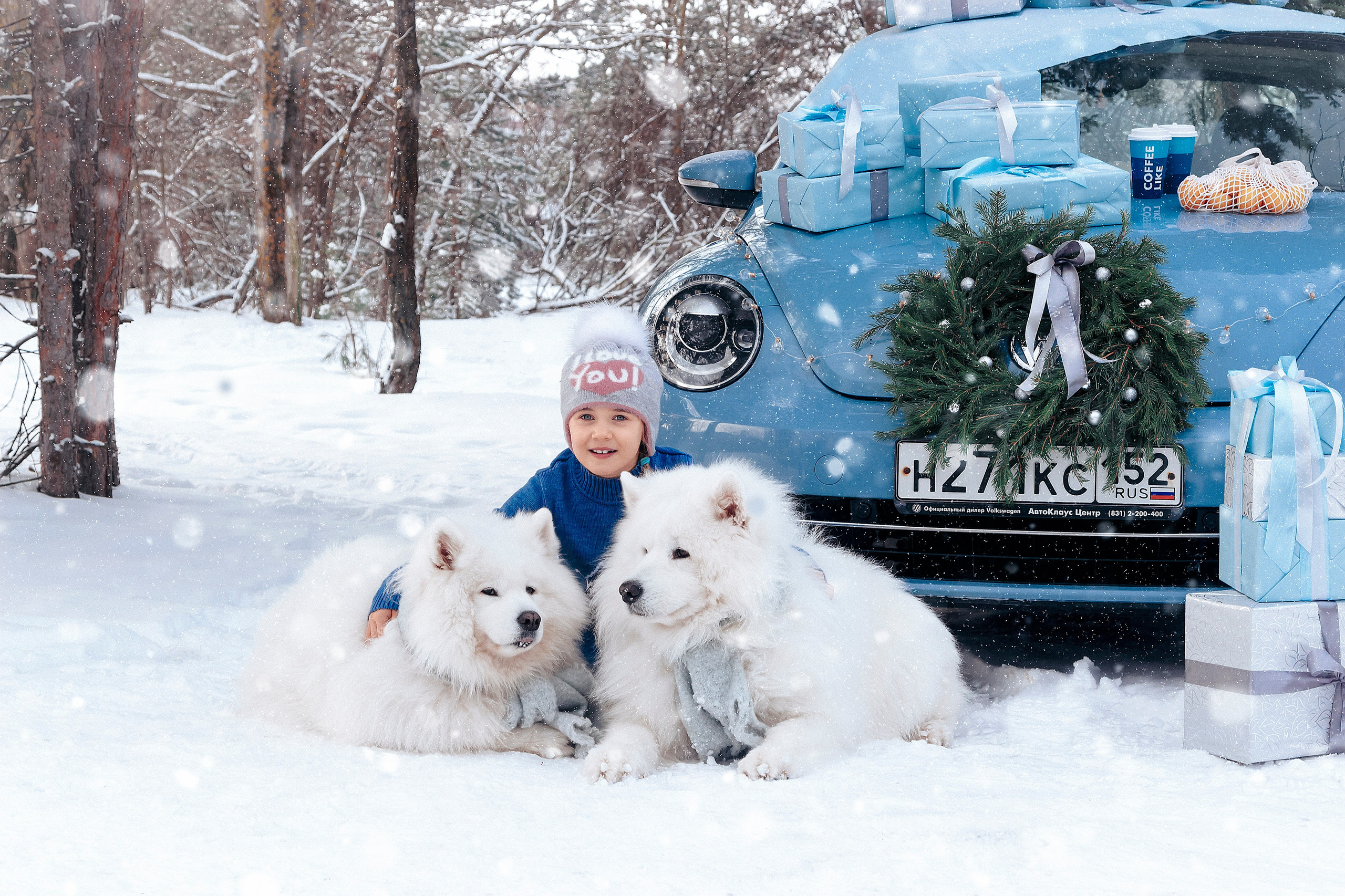 Новогодний голубой жук. Фотограф Ольга Бобб Нижний Новгород
