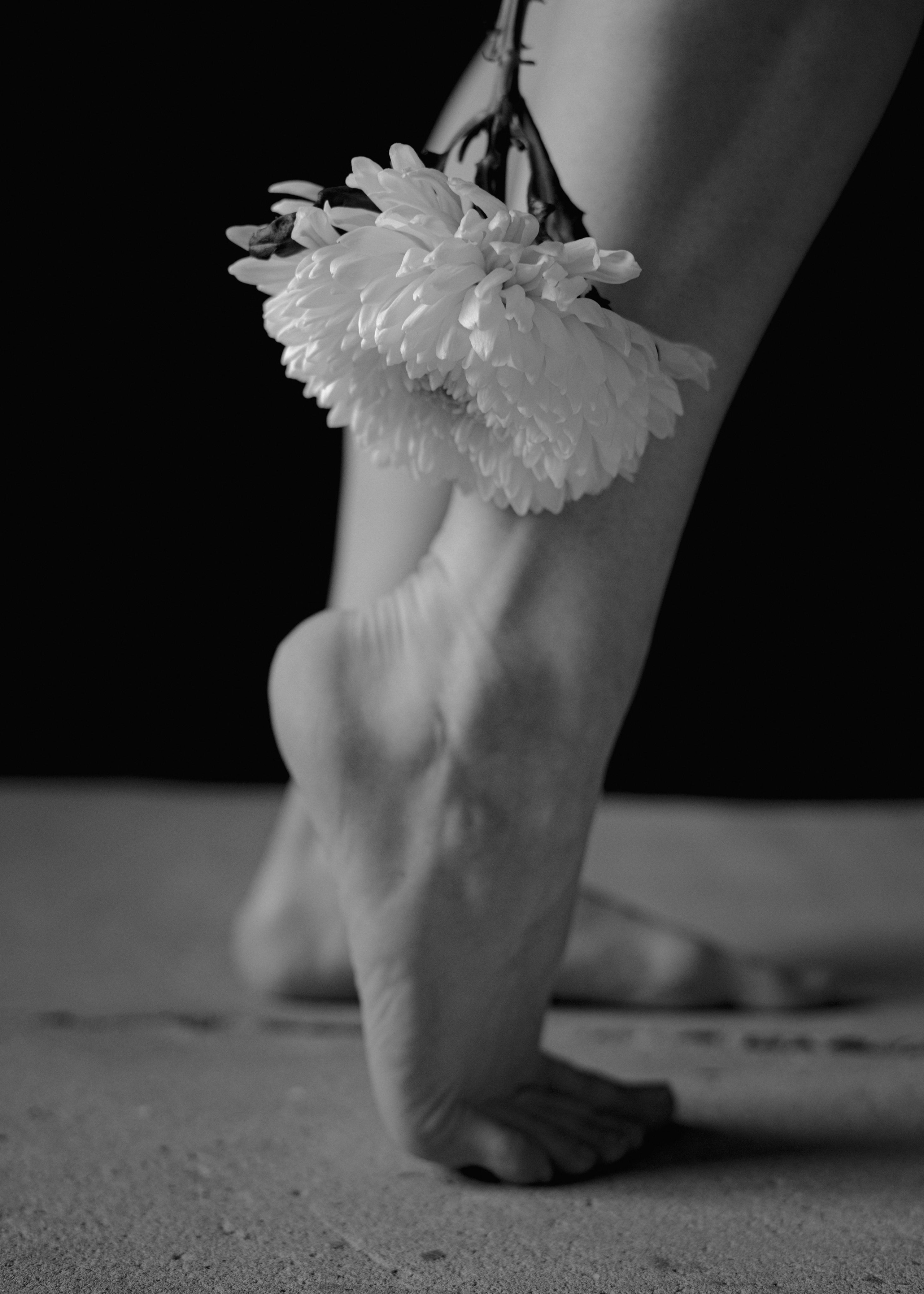 Цветок. Фотограф в Санкт-Петербурге