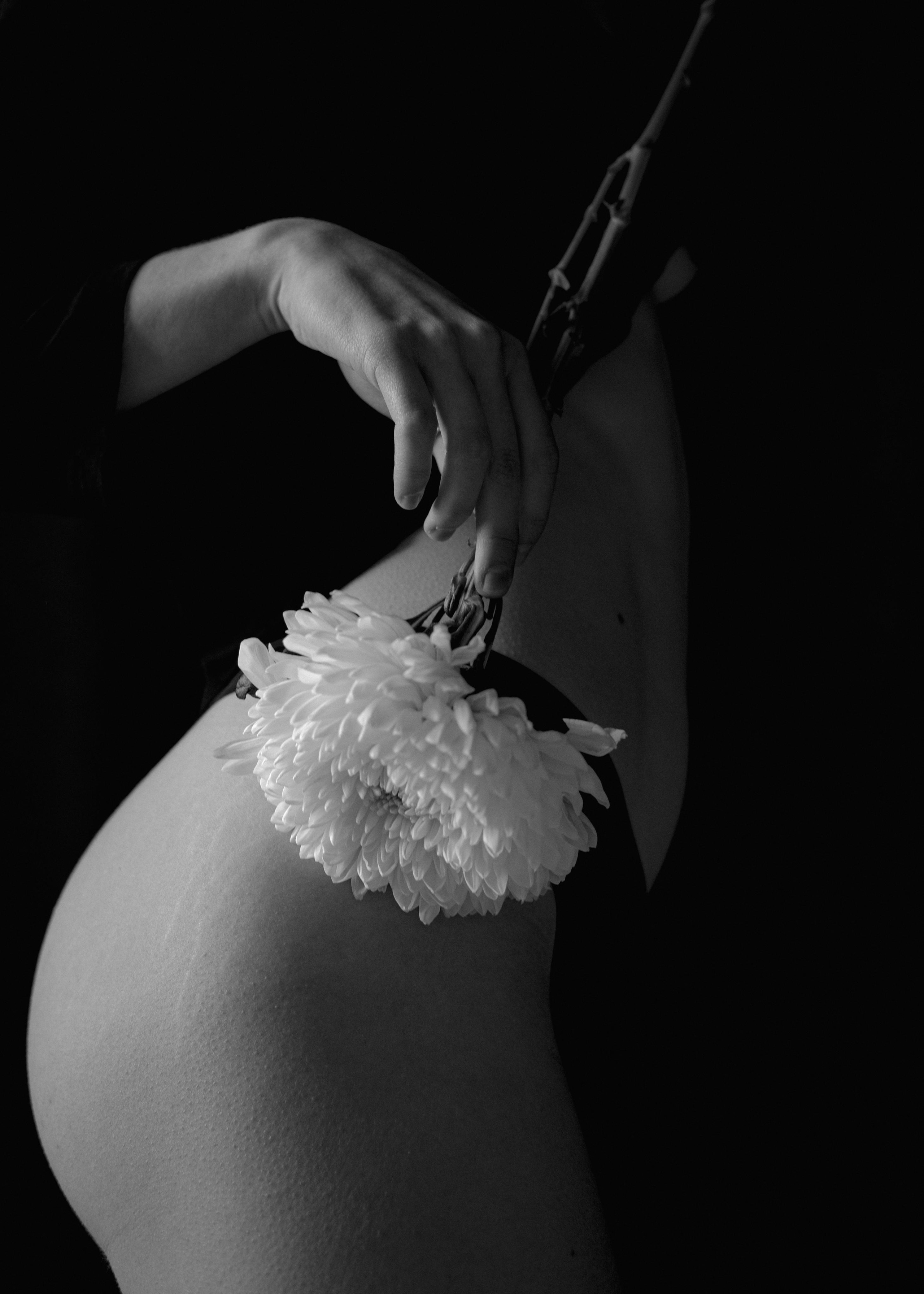 Цветок. Фотограф в Санкт-Петербурге