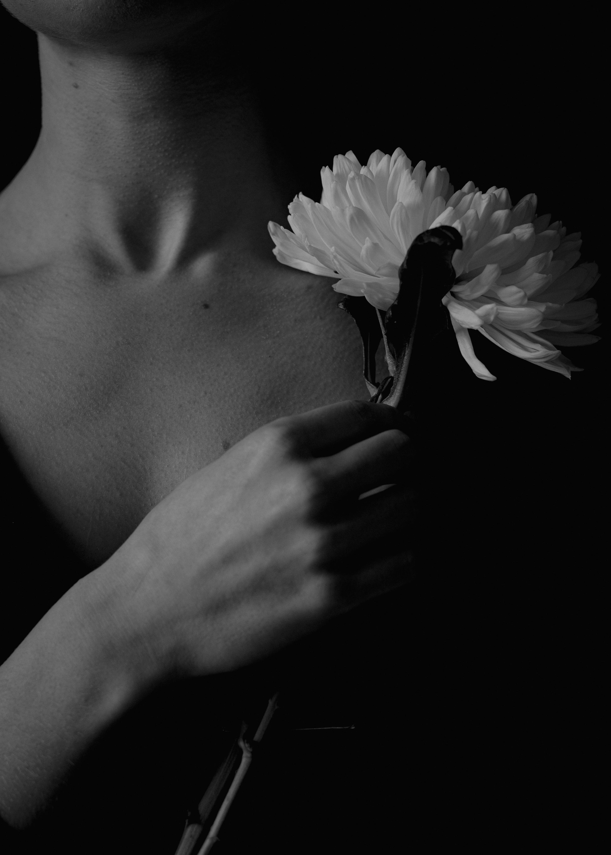 Цветок. Фотограф в Санкт-Петербурге