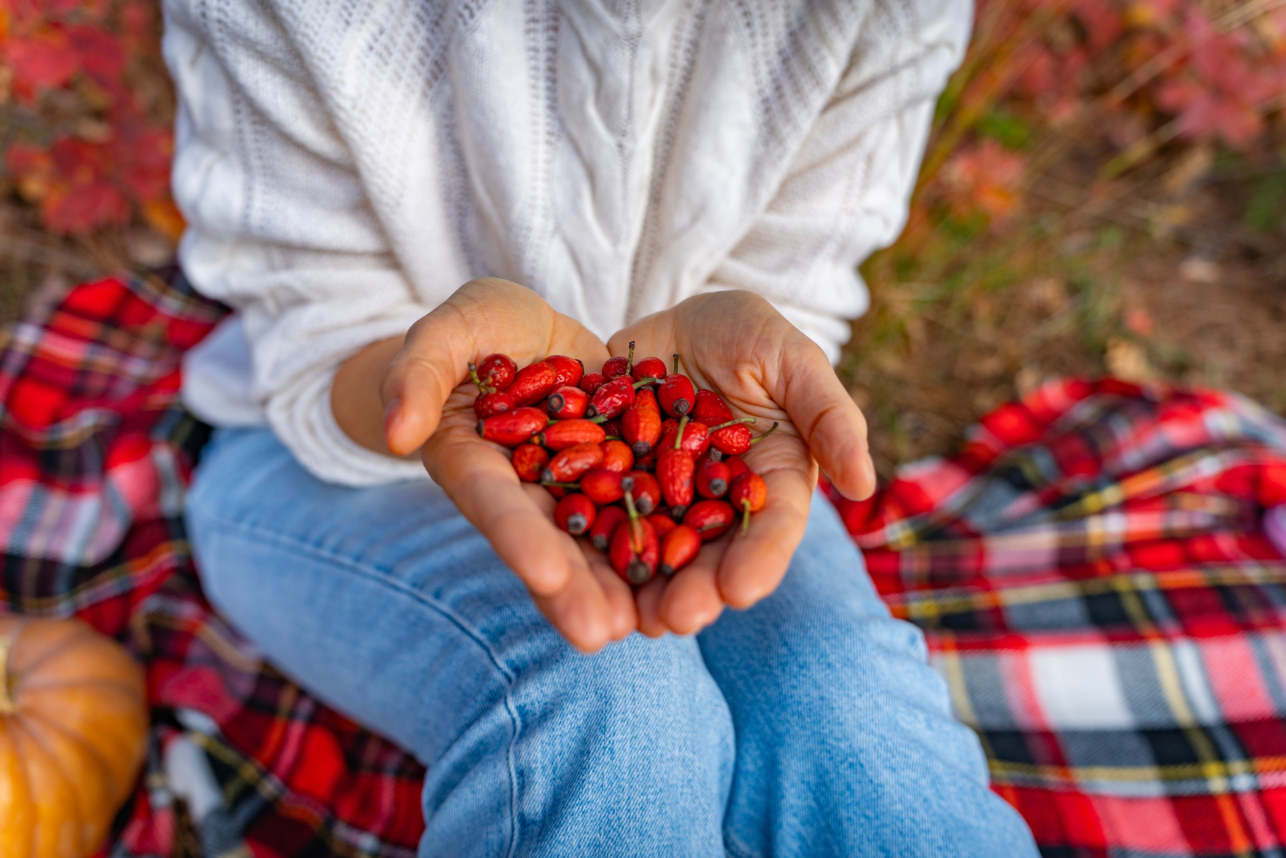 Фотопрогулка в Голубой бездне — золотая осень. Семейный и детский фотограф Екатерина Черняева. Снимаю портреты, love story, фотопрогулки, работаю на улице, в кафе, студии, дома у клиента