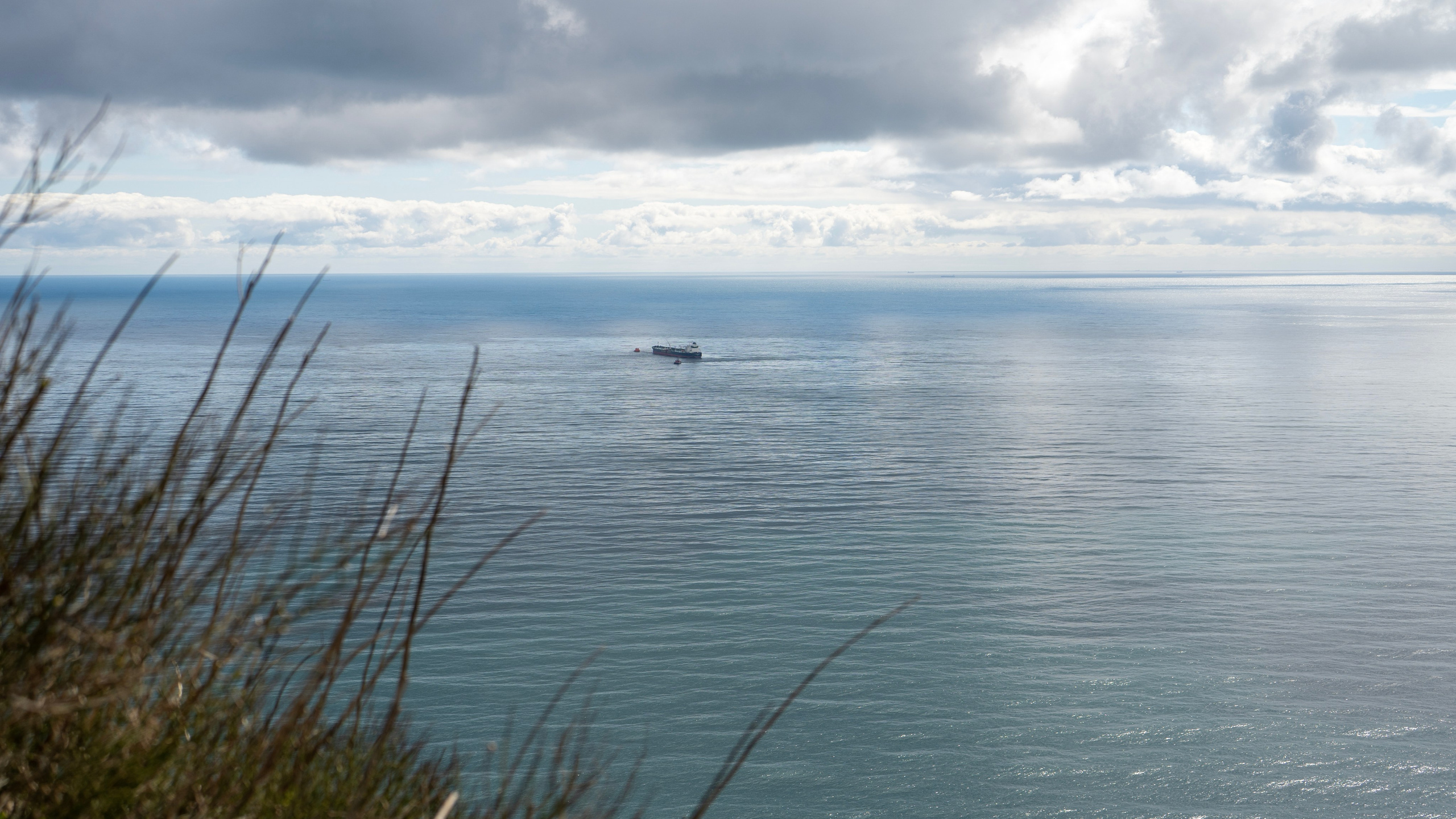 Артем и Людмила. Семейный и детский фотограф Екатерина Черняева. Снимаю портреты, love story, фотопрогулки, работаю на улице, в кафе, студии, дома у клиента