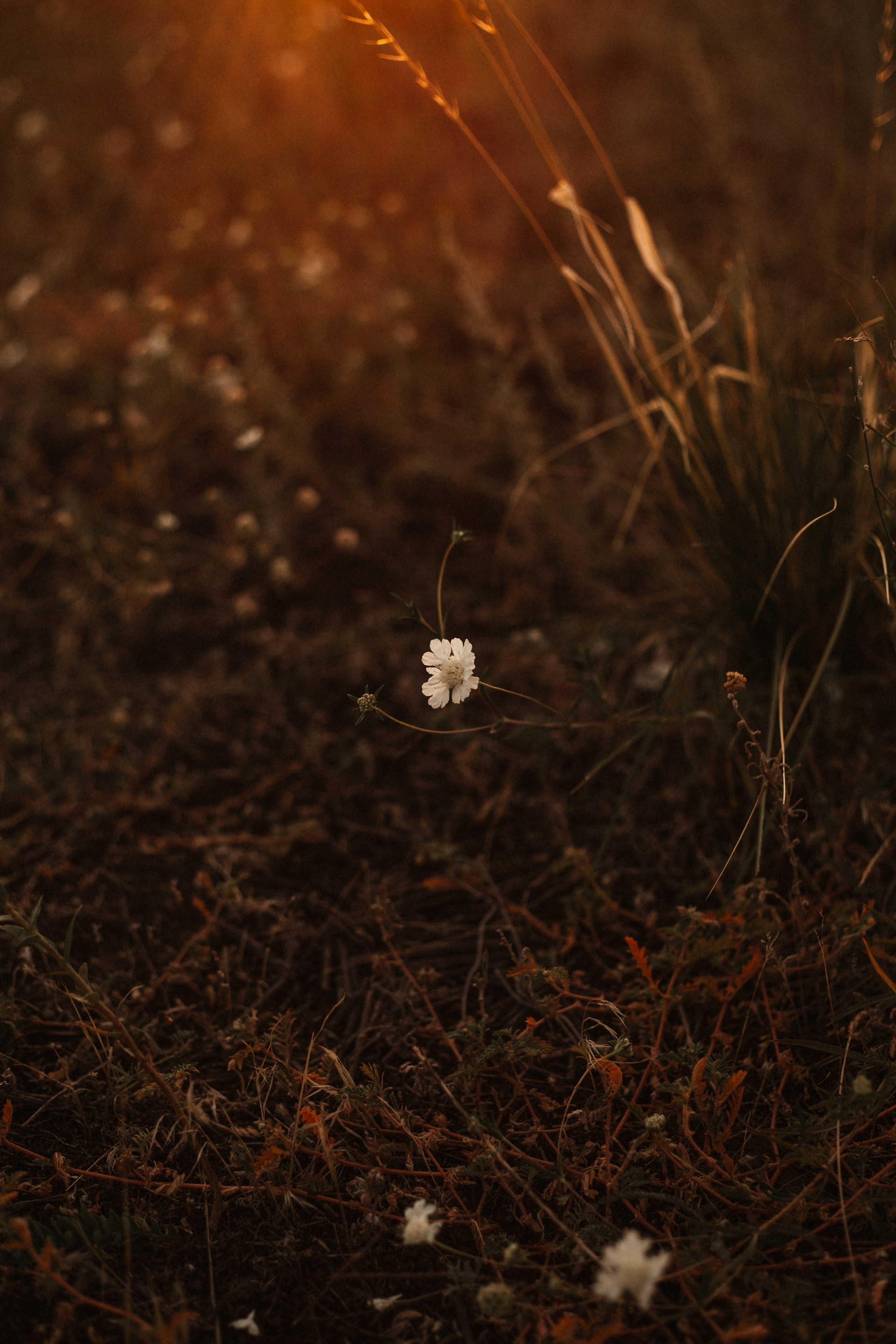 Марина, Юнир и Алина. Фотограф в Волгограде и Москве | Анастасия Лаврова