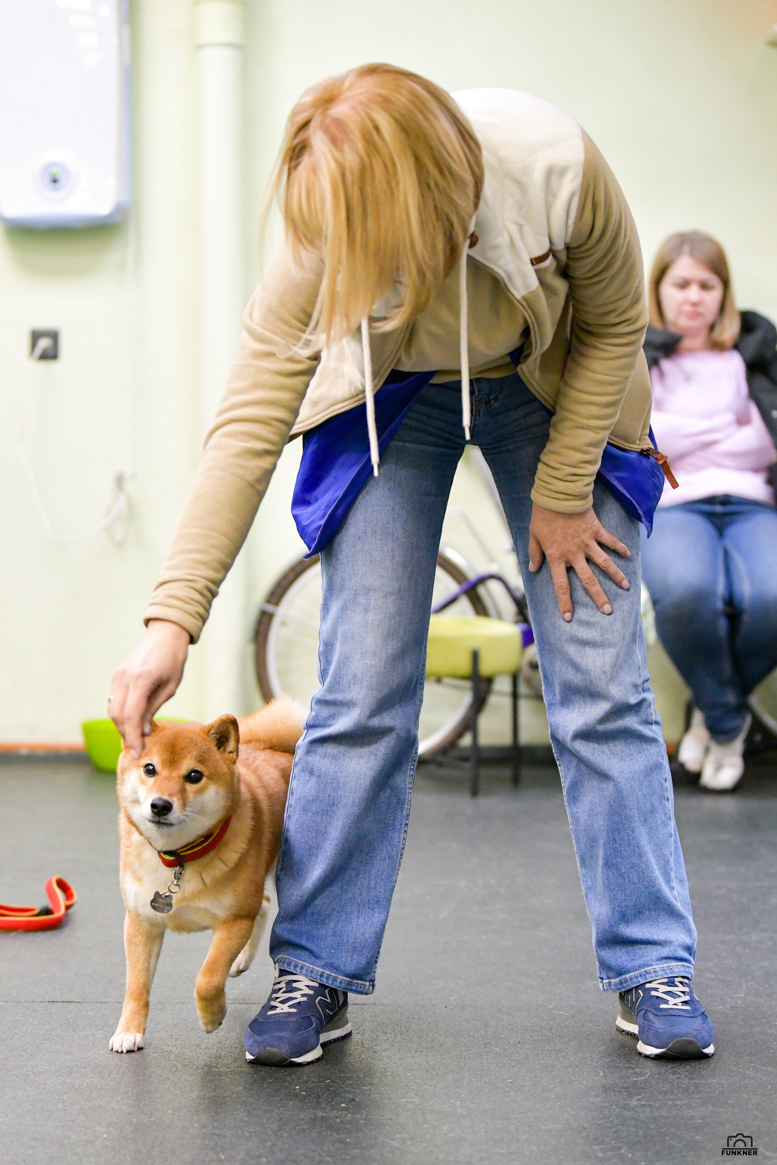 Кинологический клуб «Бодрый хвост». Свой взгляд через объектив