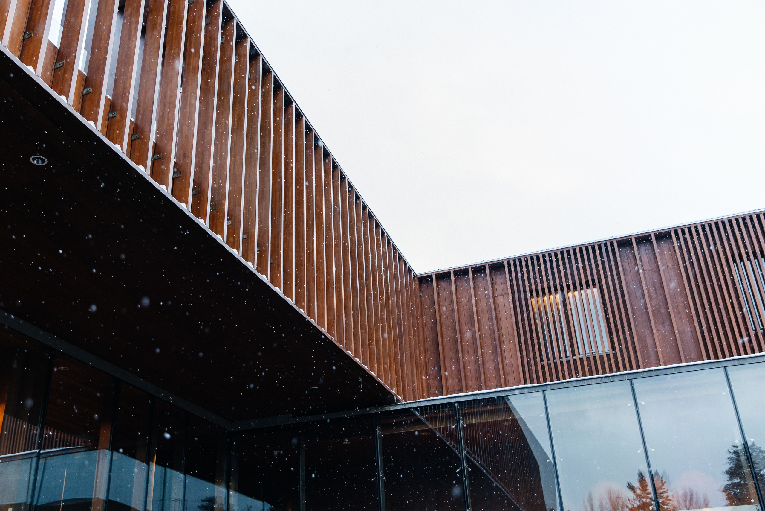 Виктория и Антон| Барвиха. Фотограф Москва Шептаев Артём