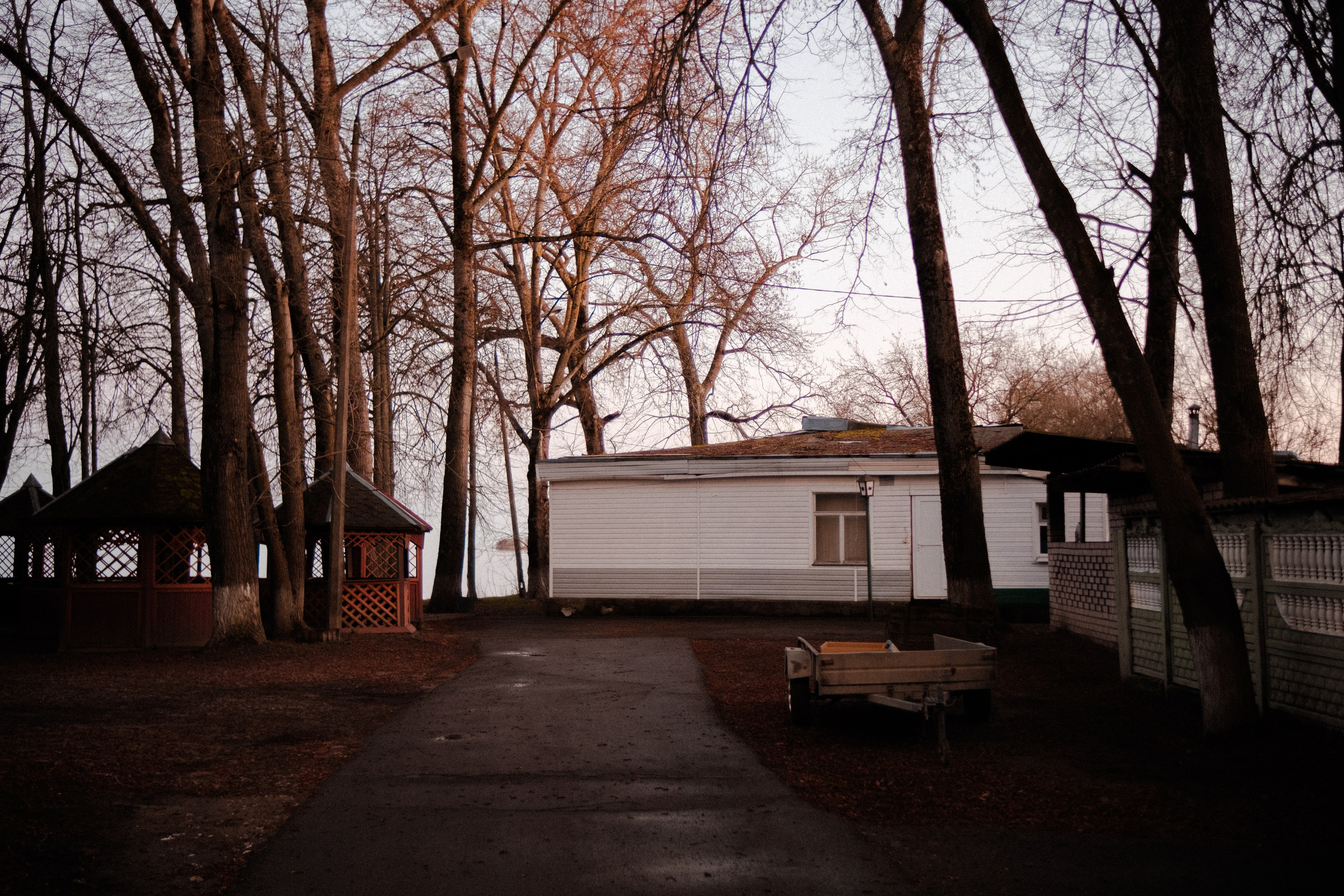 Под плёнку. Михаил Долганов