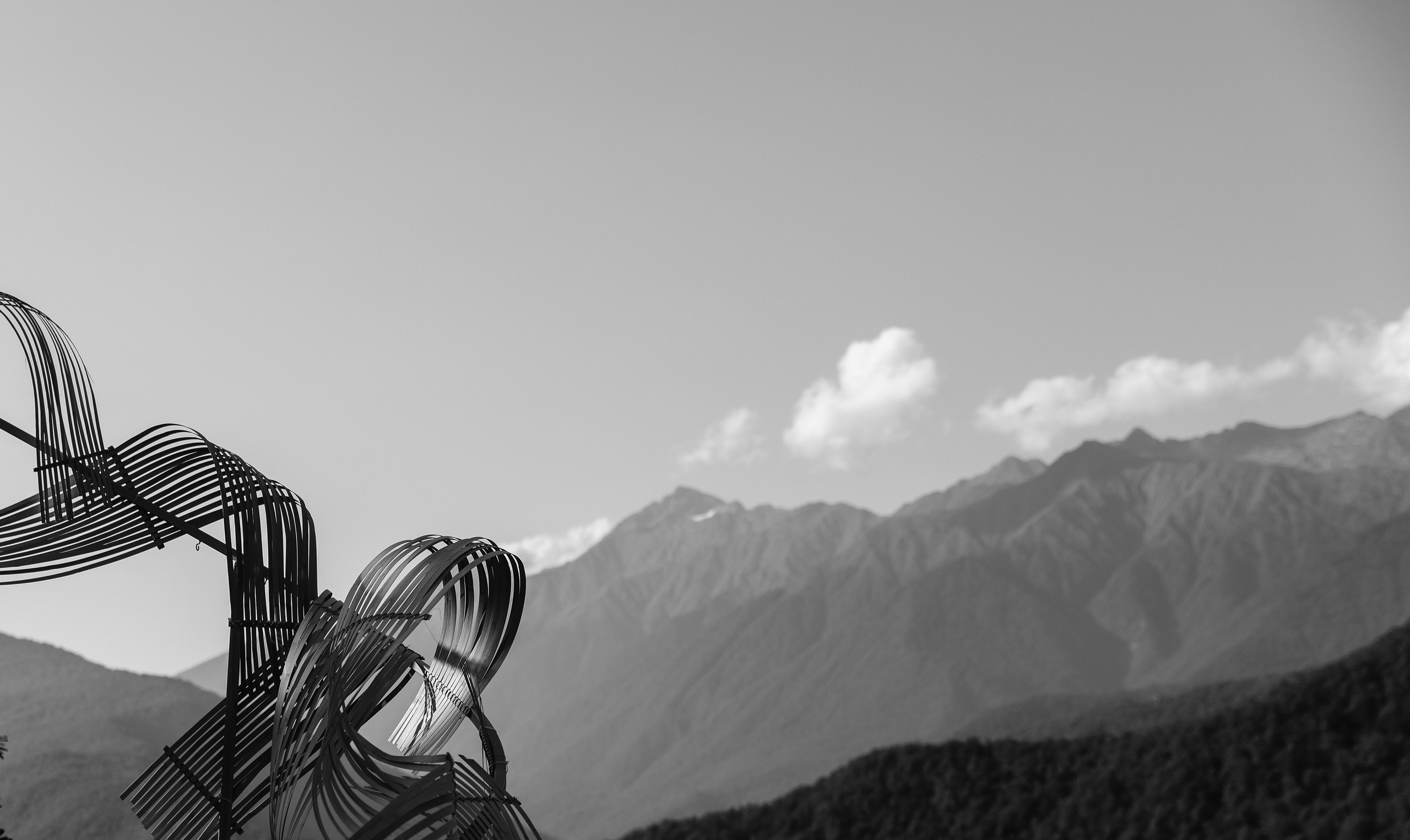 Анонс свадьба в Сочи Александр и Екатерина. Свадебный и семейный фотограф в Севастополе и Крыму Анастасия Сураева