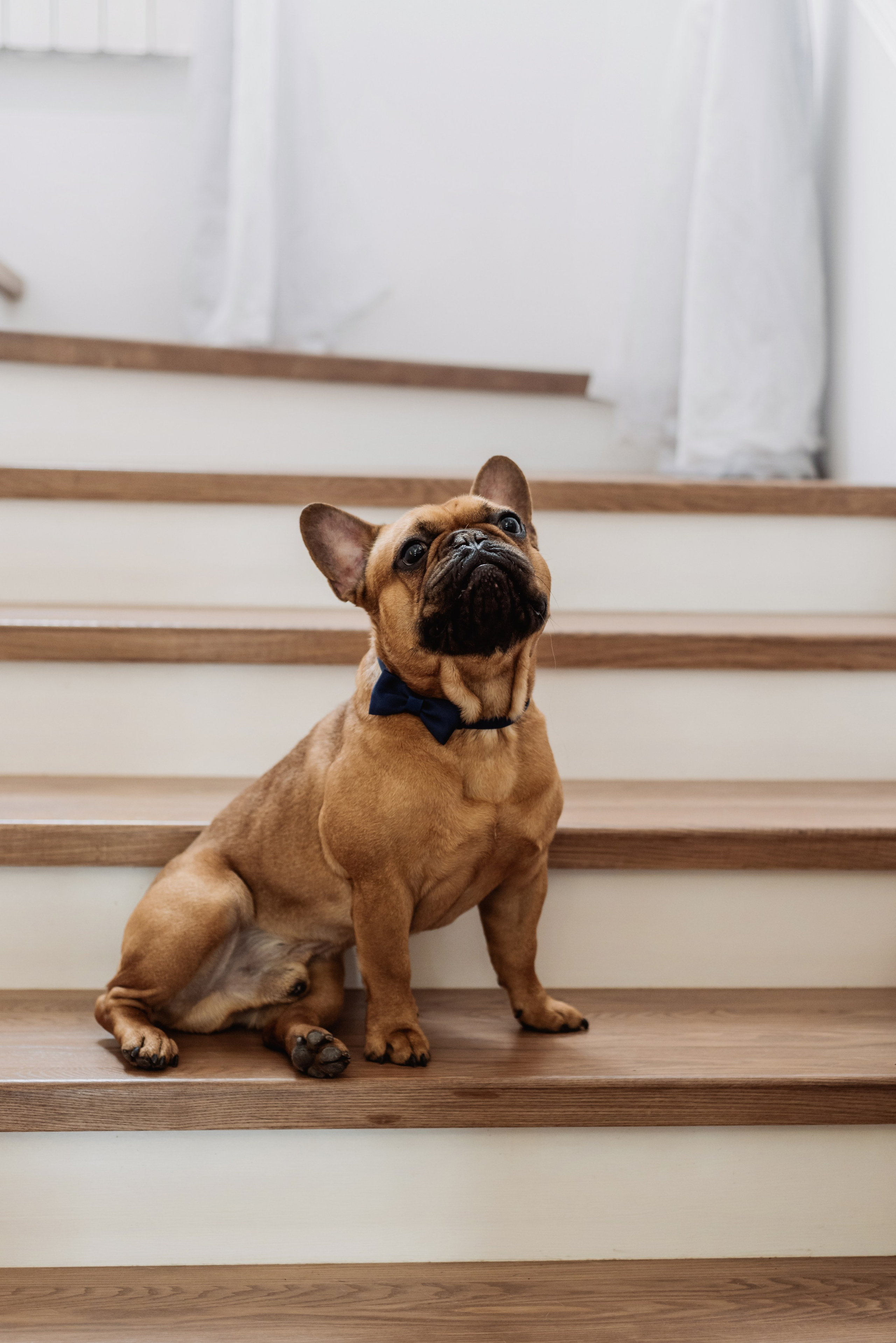 Elena & Vyacheslav. ФОТОГРАФ ИРИНА ШАМАТАВА