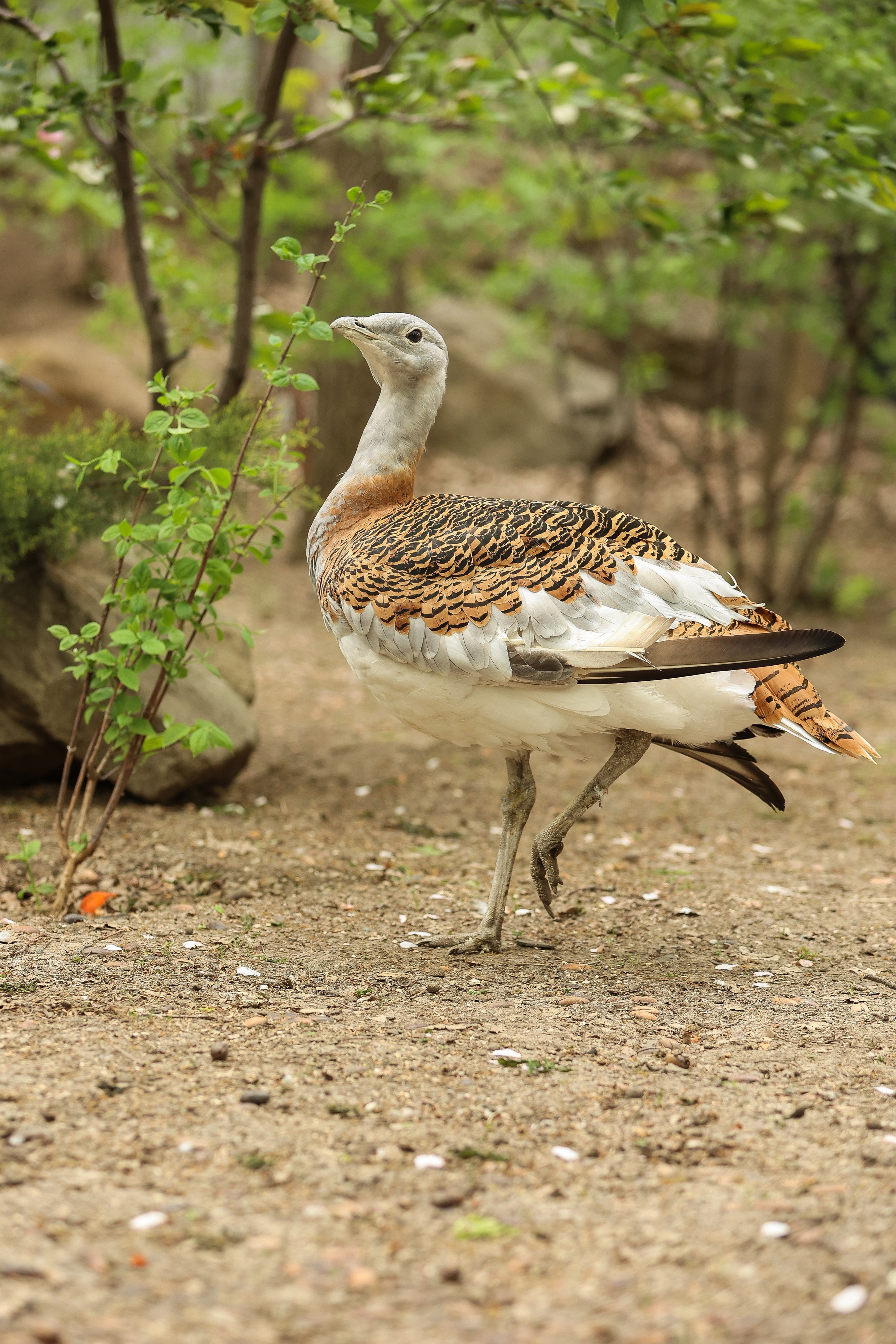 Зоопарк Малинки. Фотограф-АниМалист Анна Абрамова