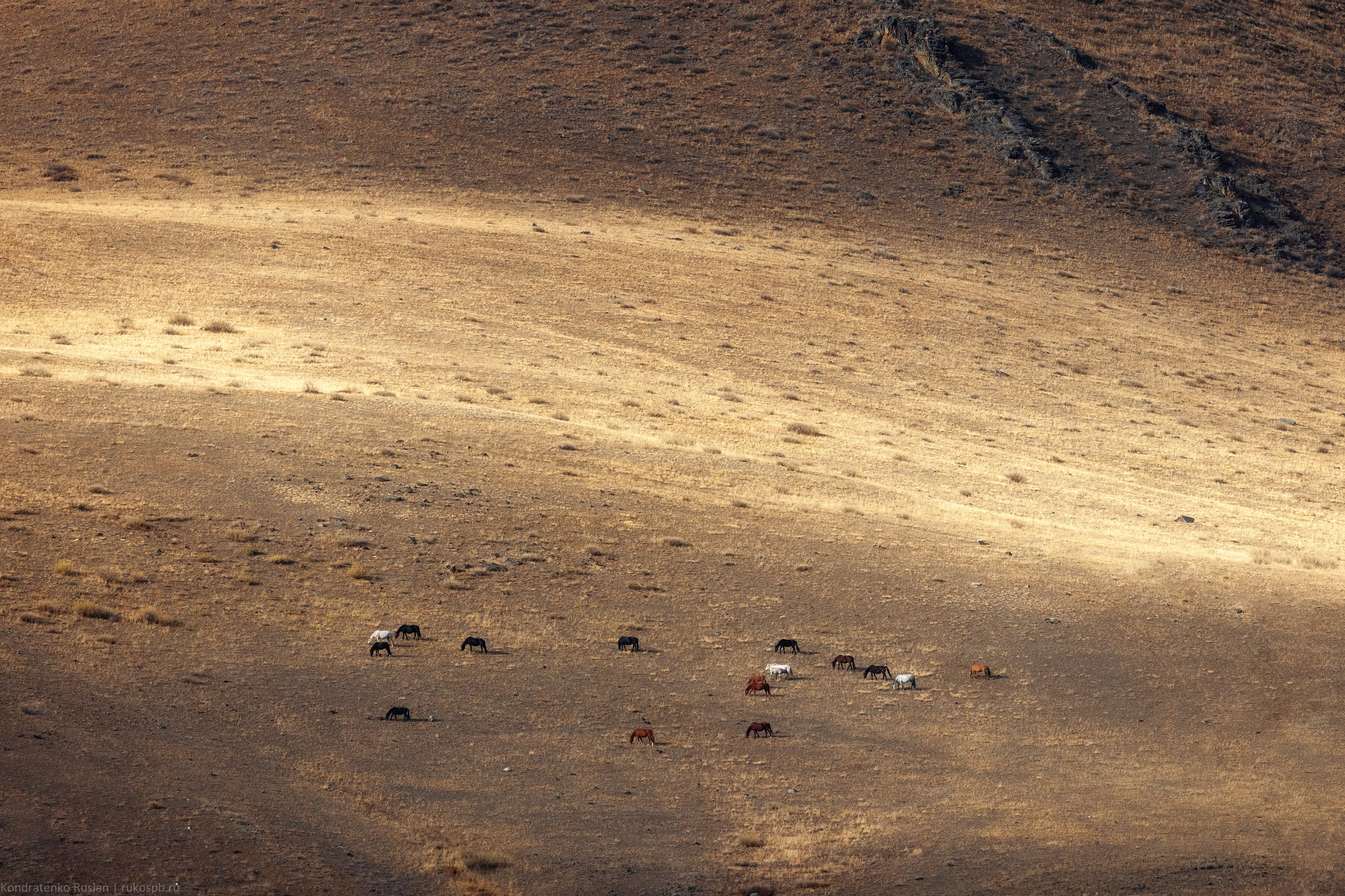 Горный Алтай. Архитектурный и пейзажный фотограф Кондратенко Руслан, Санкт-Петербург
