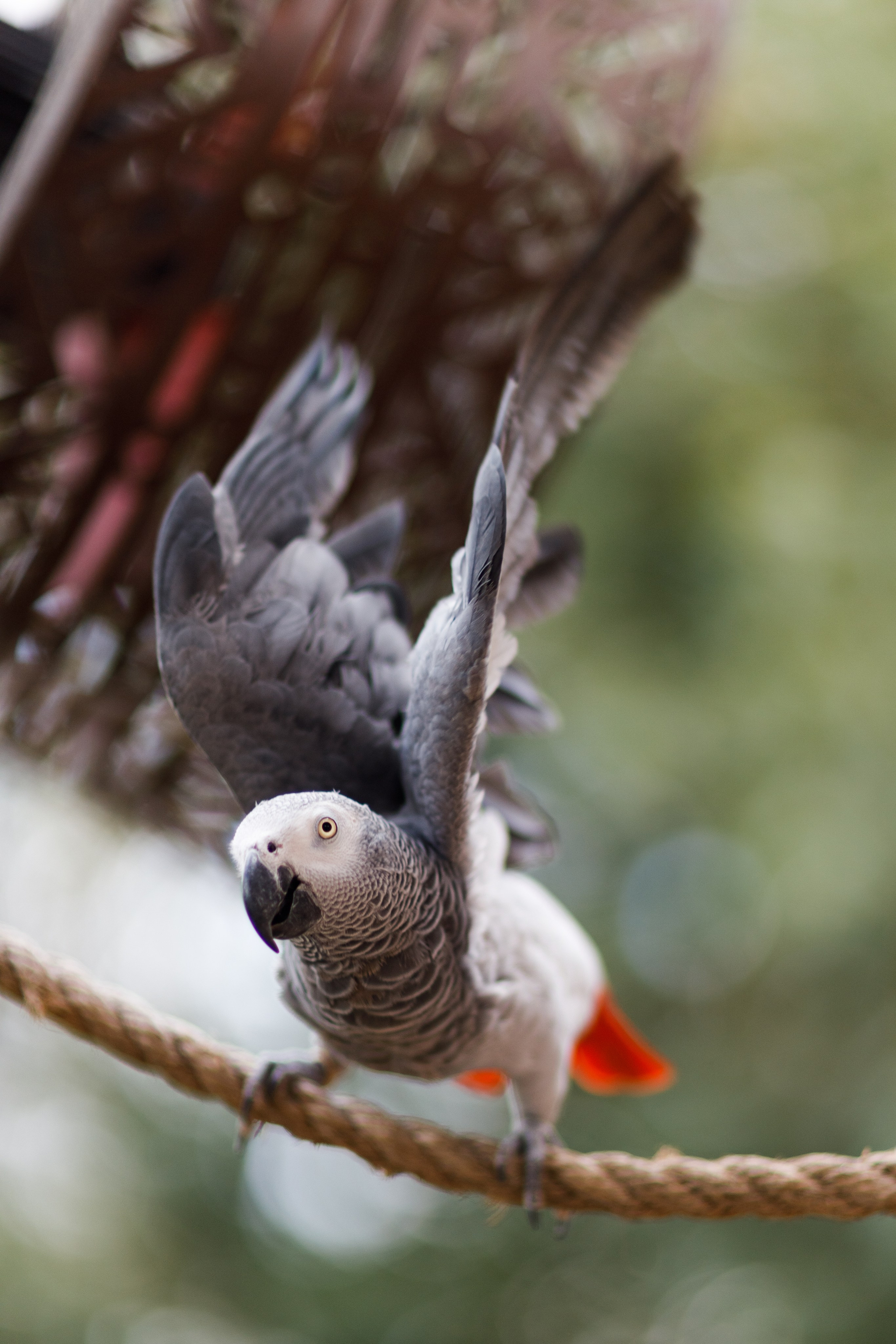 Дубай 2023. Руслан Плахтеев