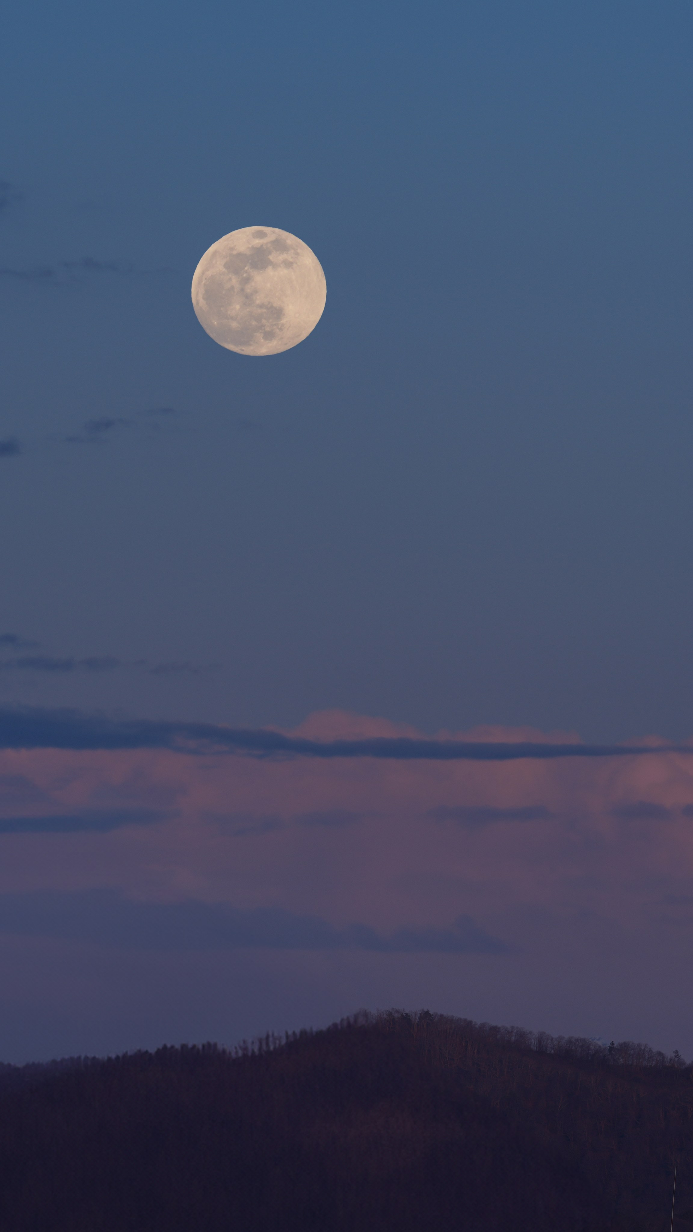 Заставки. Главная