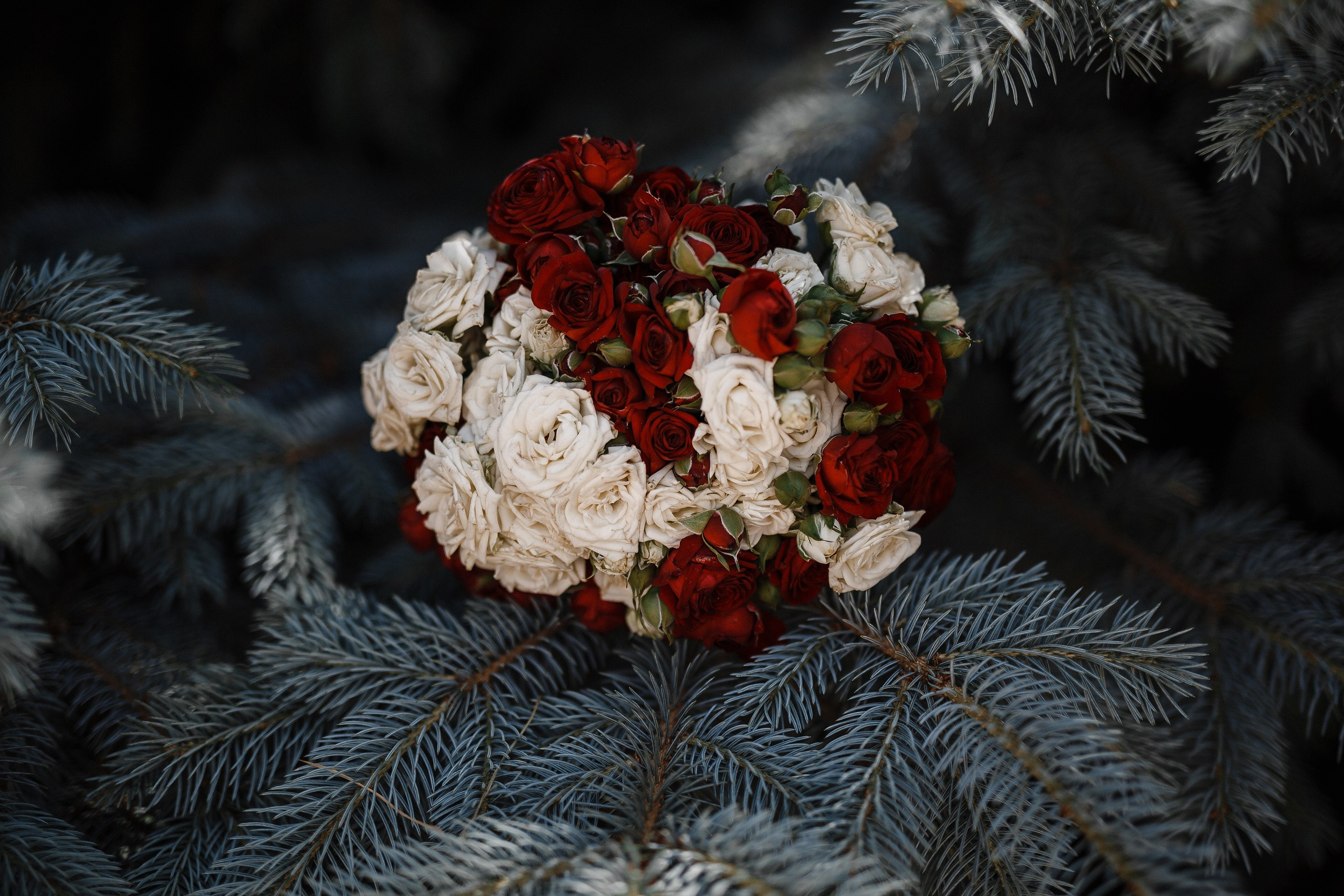 Wedding 2022. Свадебный и семейный фотограф в Оренбурге Евгения Атанова