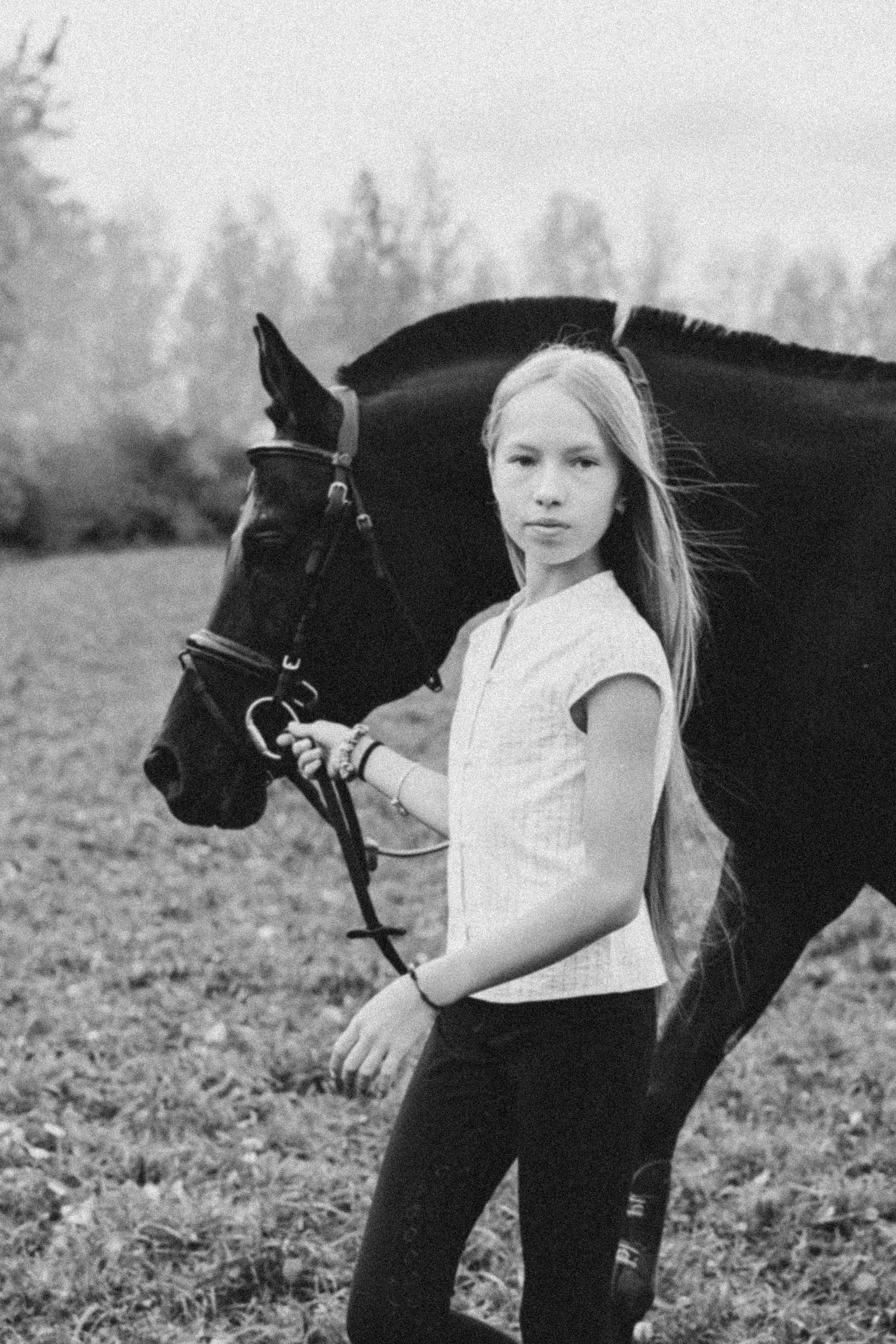 ЛОШАДЬ. Я фотограф из Москвы к Вашим услугам