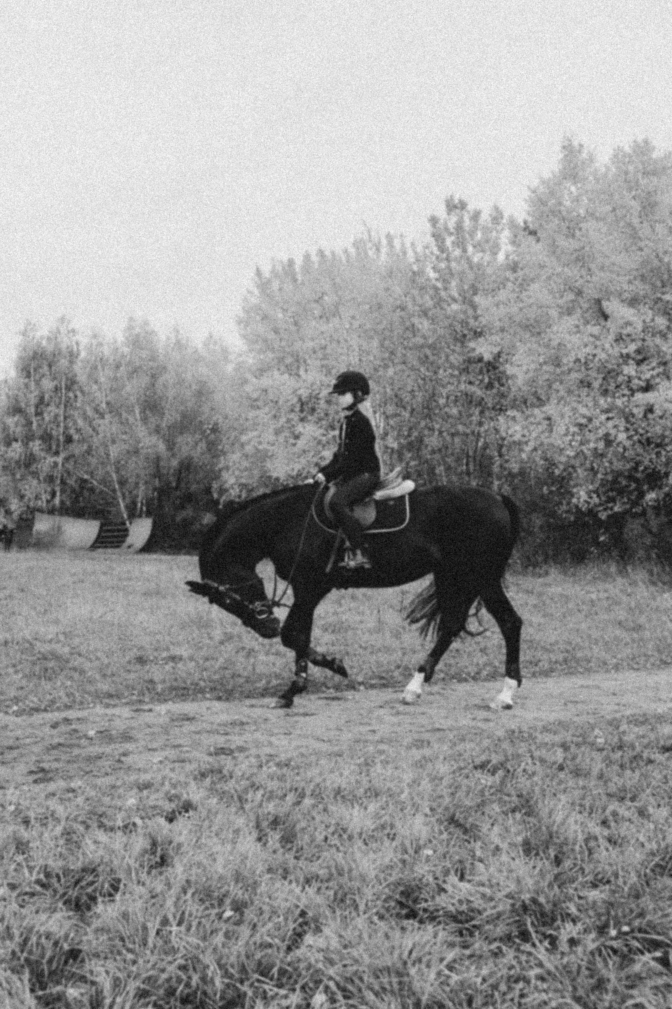 ЛОШАДЬ. Я фотограф из Москвы к Вашим услугам