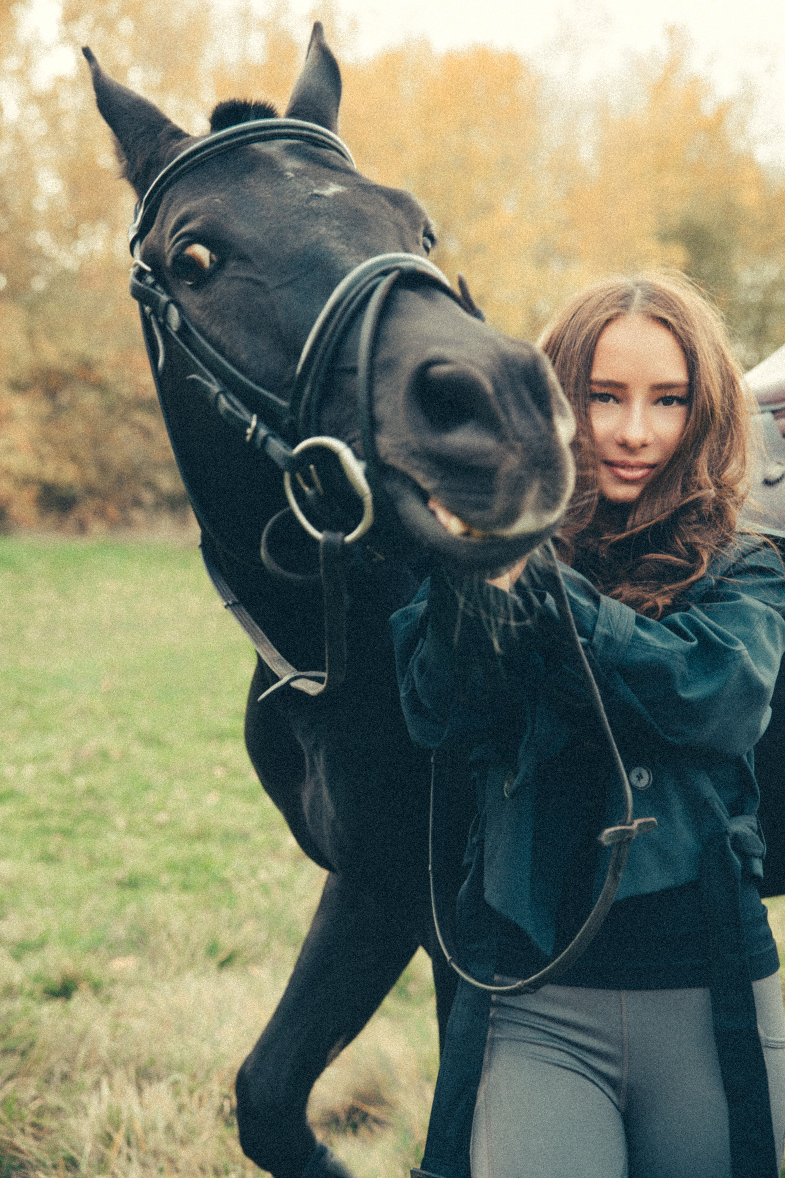ЛОШАДЬ. Я фотограф из Москвы к Вашим услугам