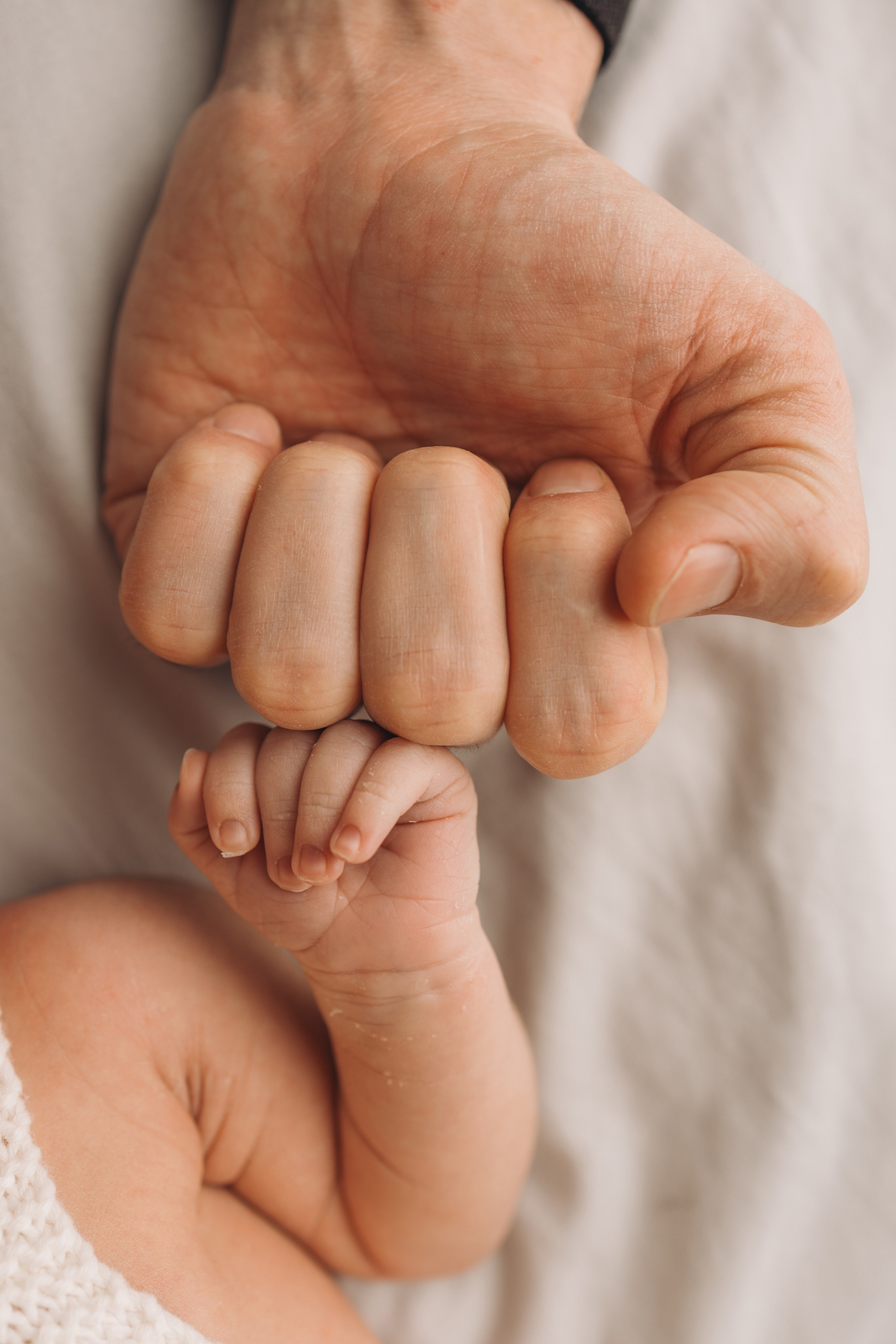 Лев 7 дней. Фотограф новорождённых Newborn Москва