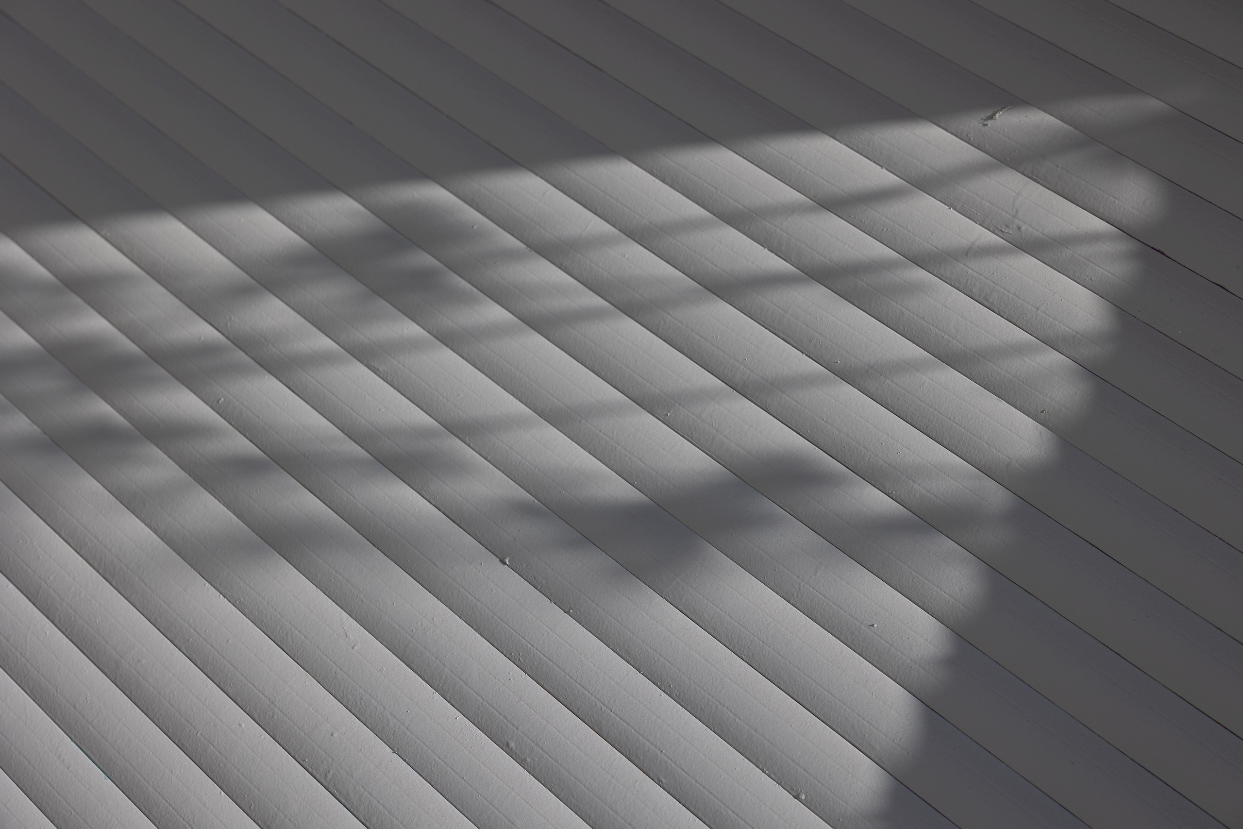 Art prints. Фотограф алина стерхова, алина стерхова фотограф, фотограф москва