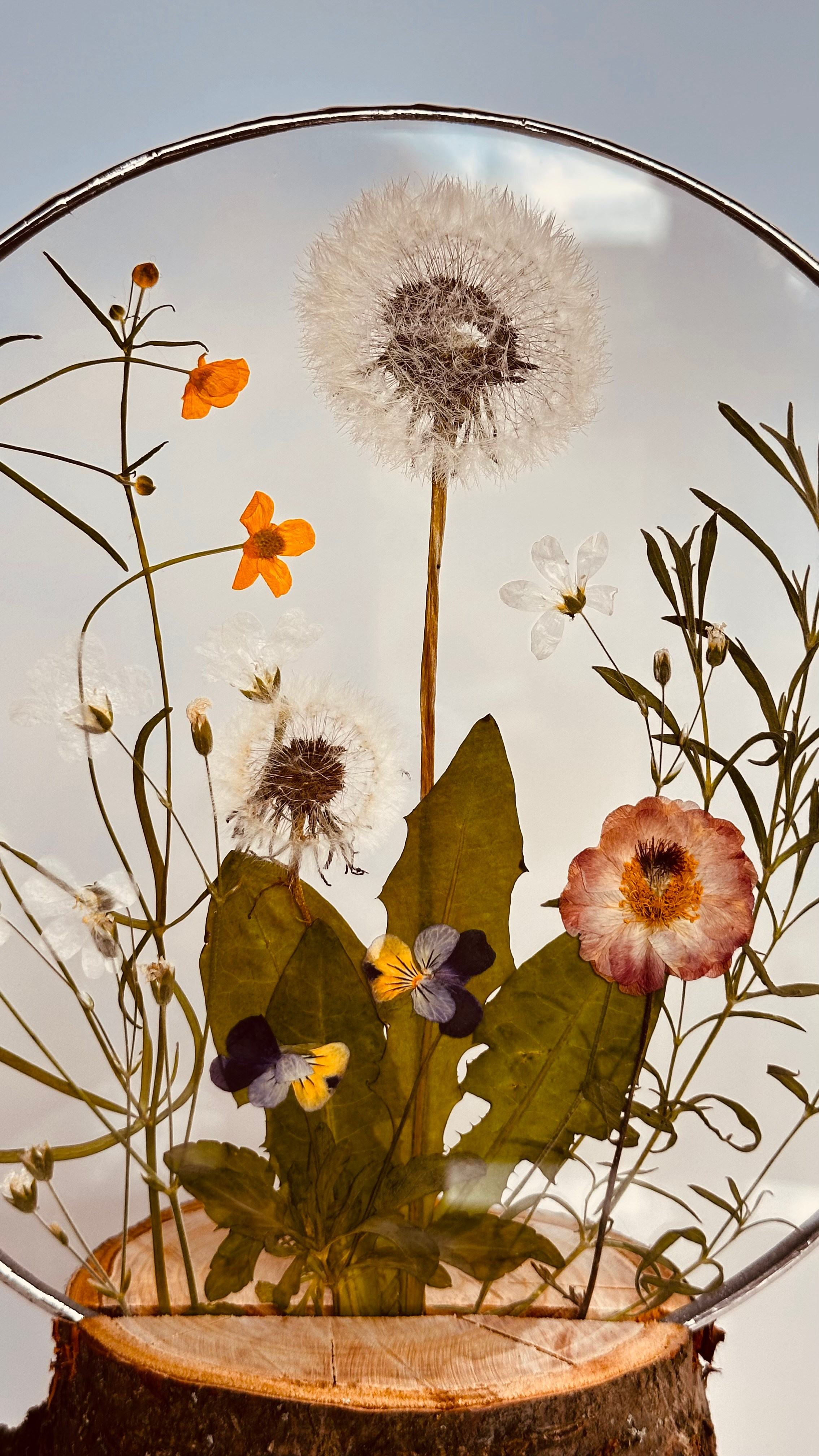 Оформляю пространства. Витражи с сухоцветами в технике Тиффани