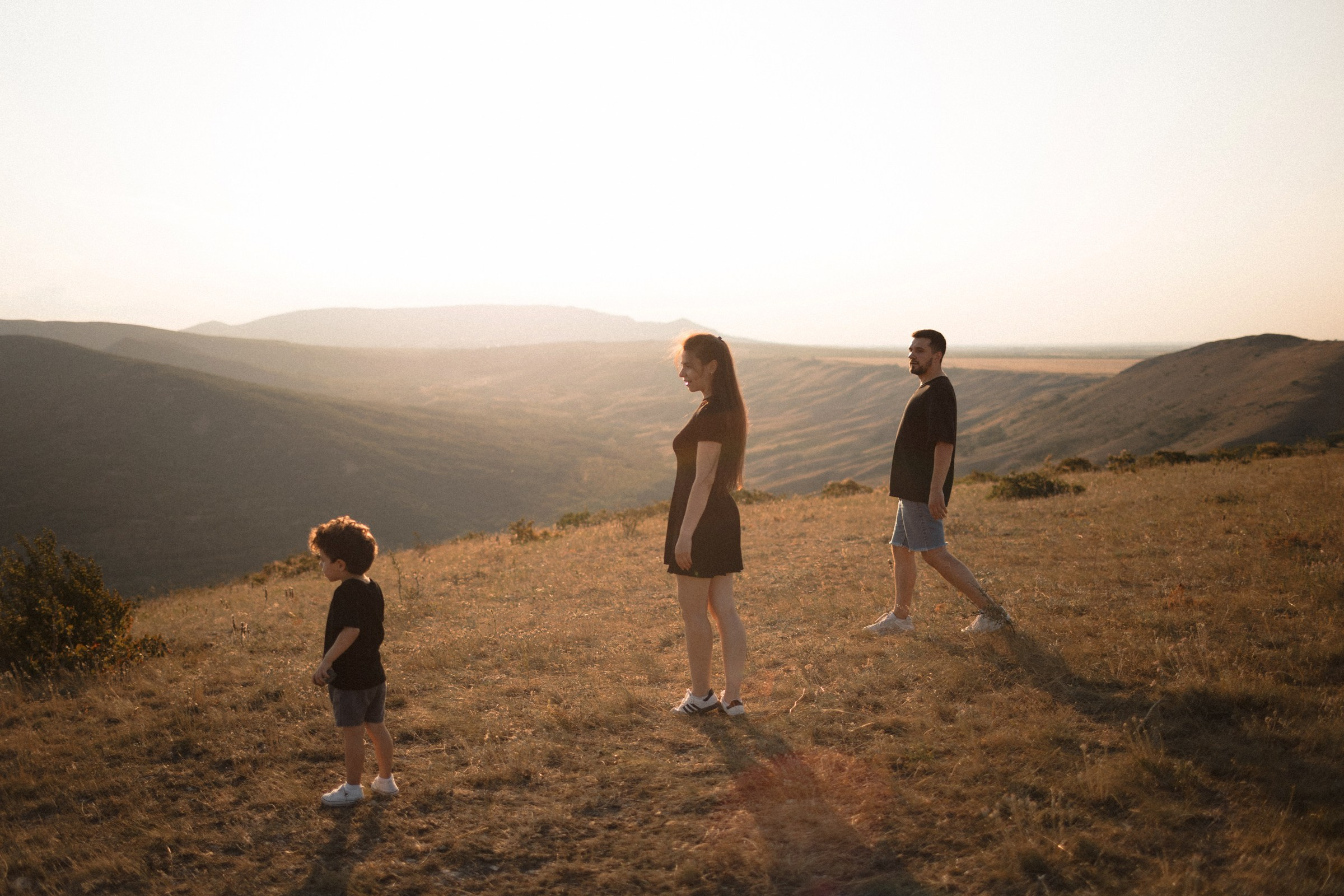 Воздушный змей. Sovushka DS