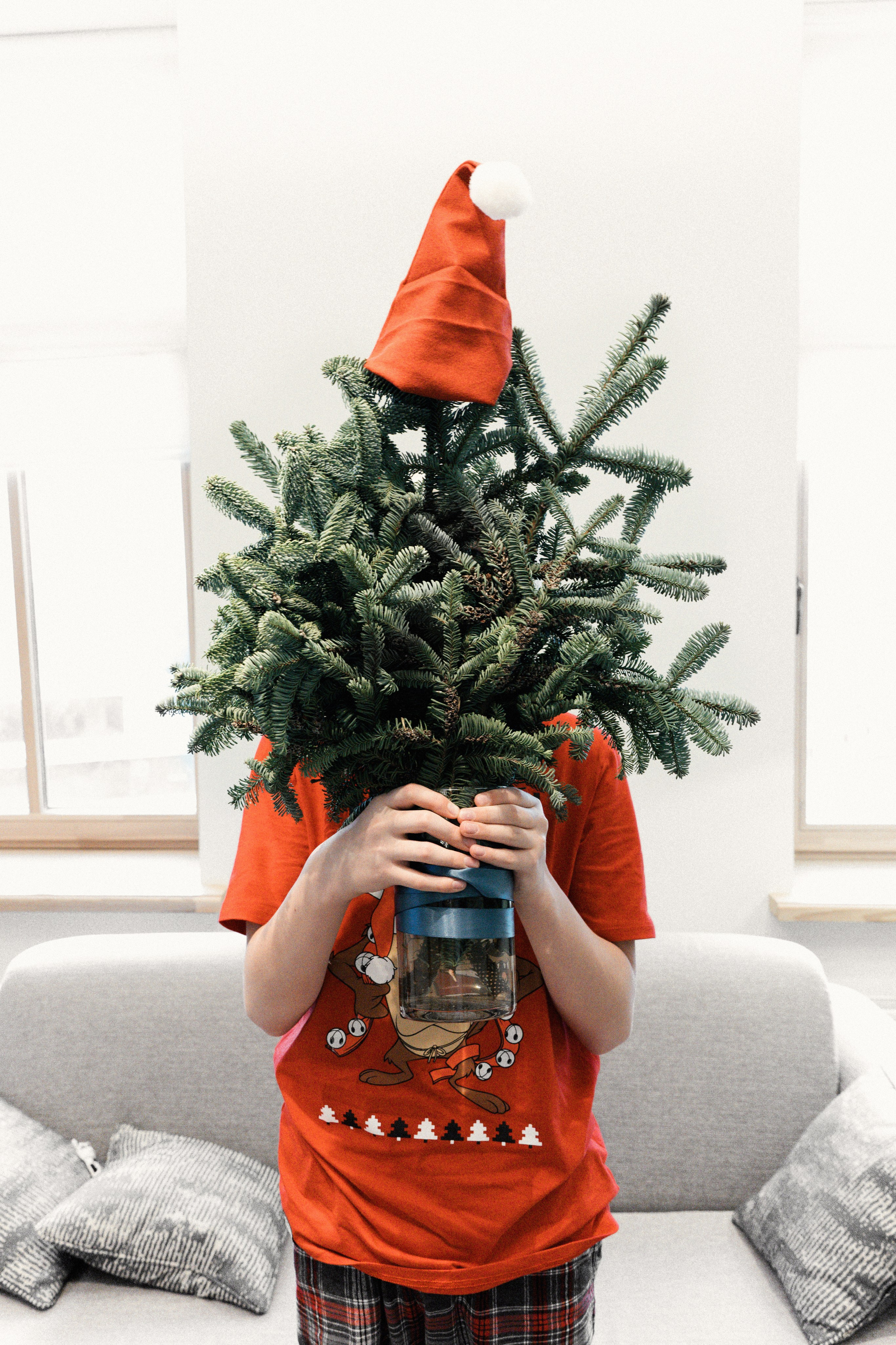 Зимняя сказка. Ваш семейный фотограф в Минске — Вика Трегубова