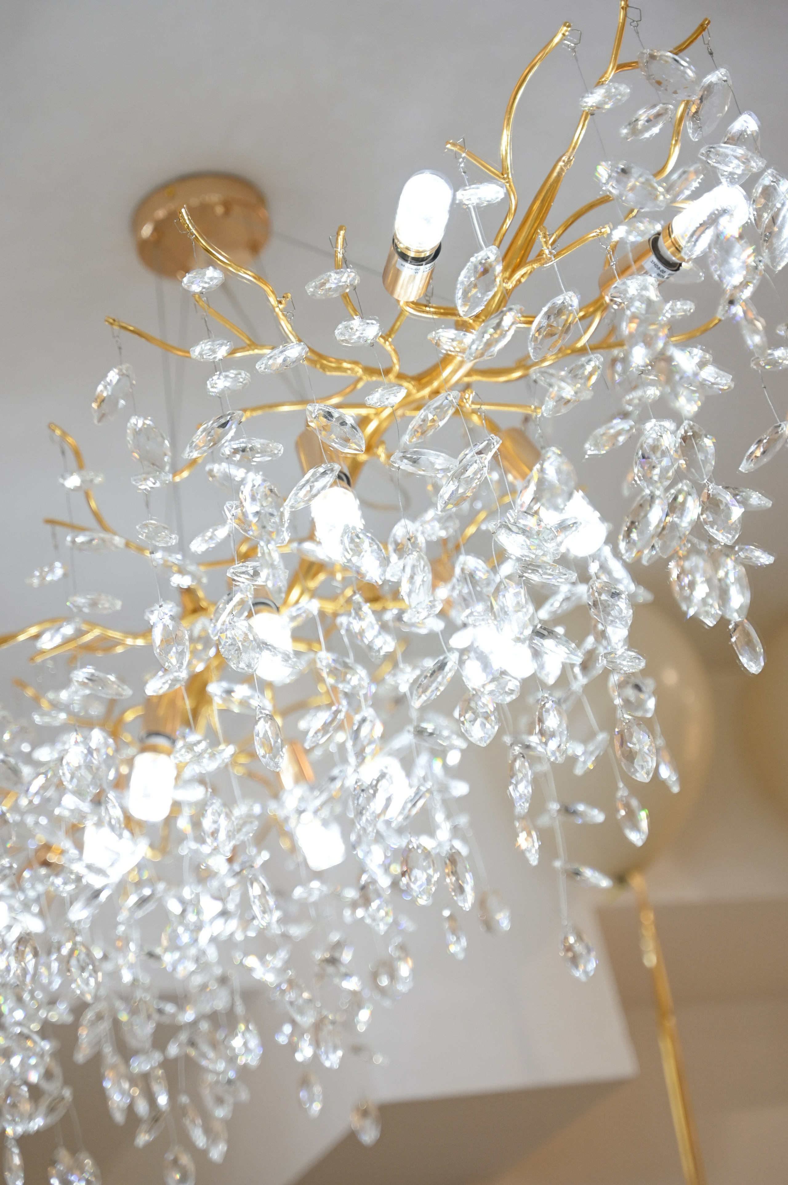 Открытие клиники «TOP CLINIC». Свадебный и семейный фотограф в Уфе Александров Максим