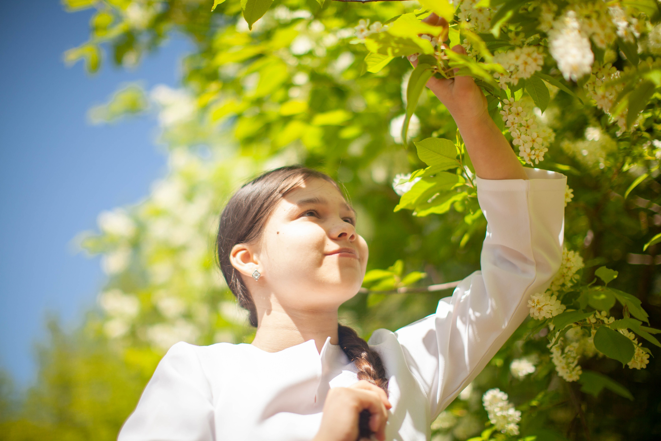 Летний день. Art my Pho