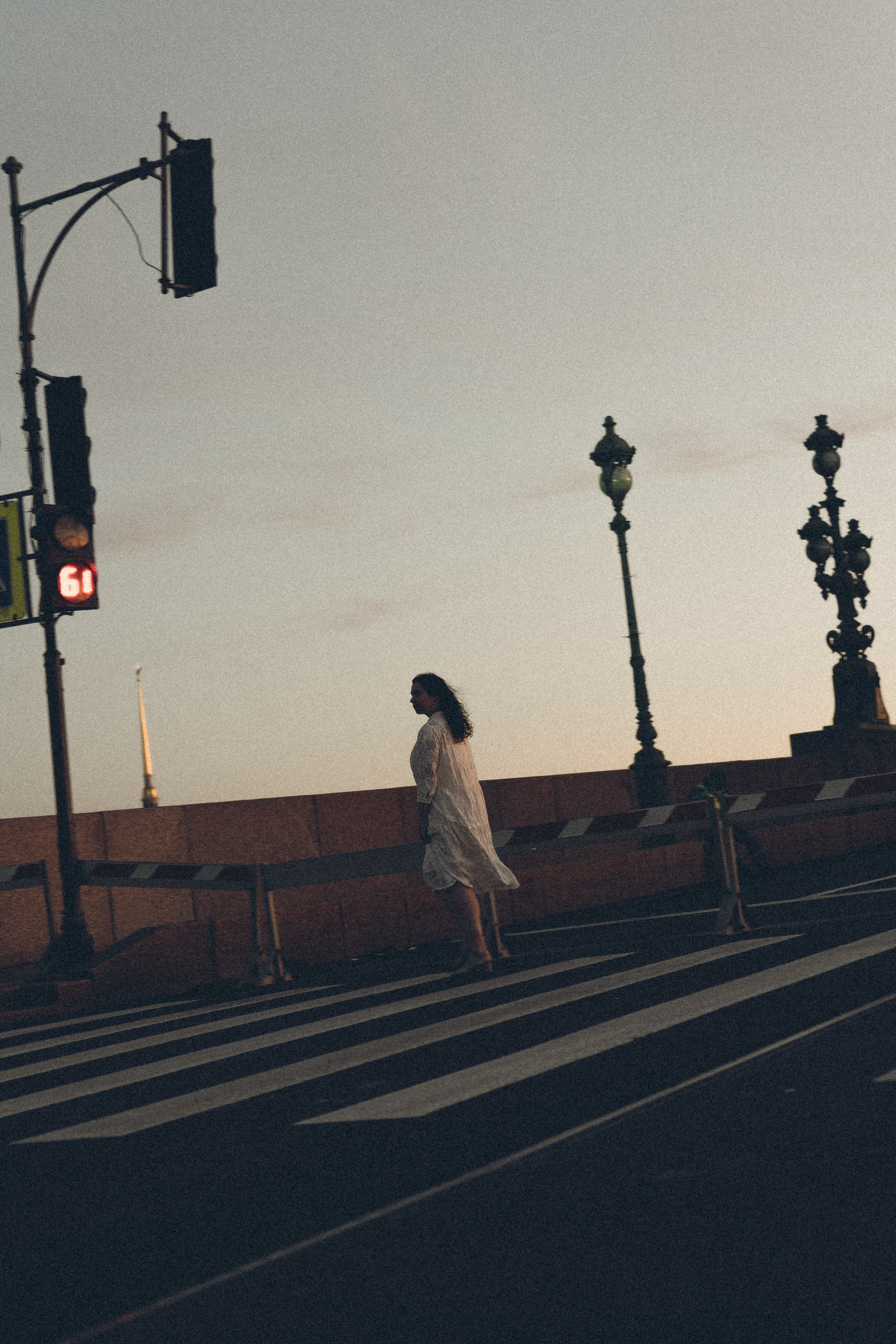 РАССВЕТ С РАЗВОДНЫМИ МОСТАМИ. Профессиональный фотограф, Санкт-Петербург — Виктория Богомолова