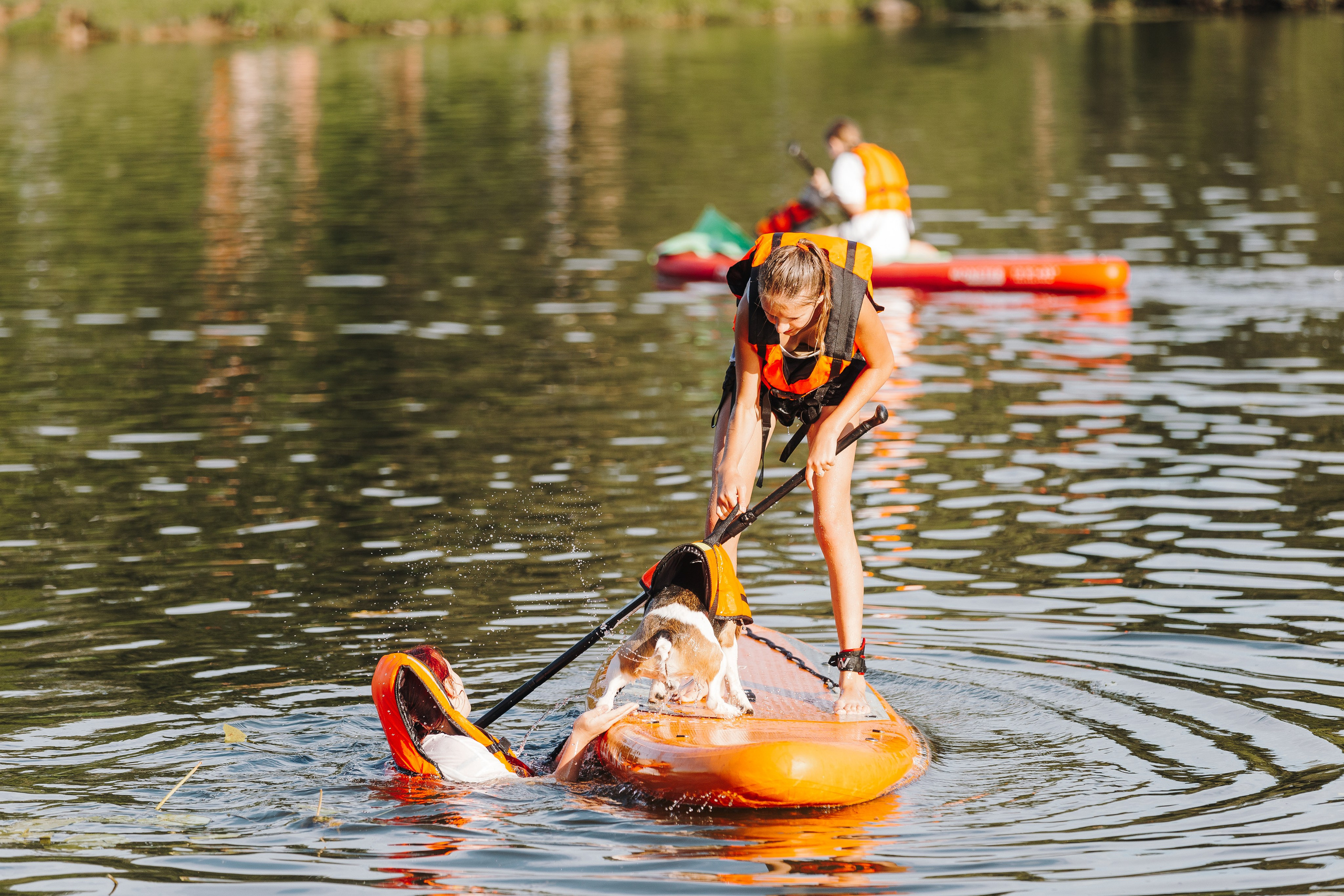 Petshop Sup day. Фотограф анималист Кристина Карпова, Москва