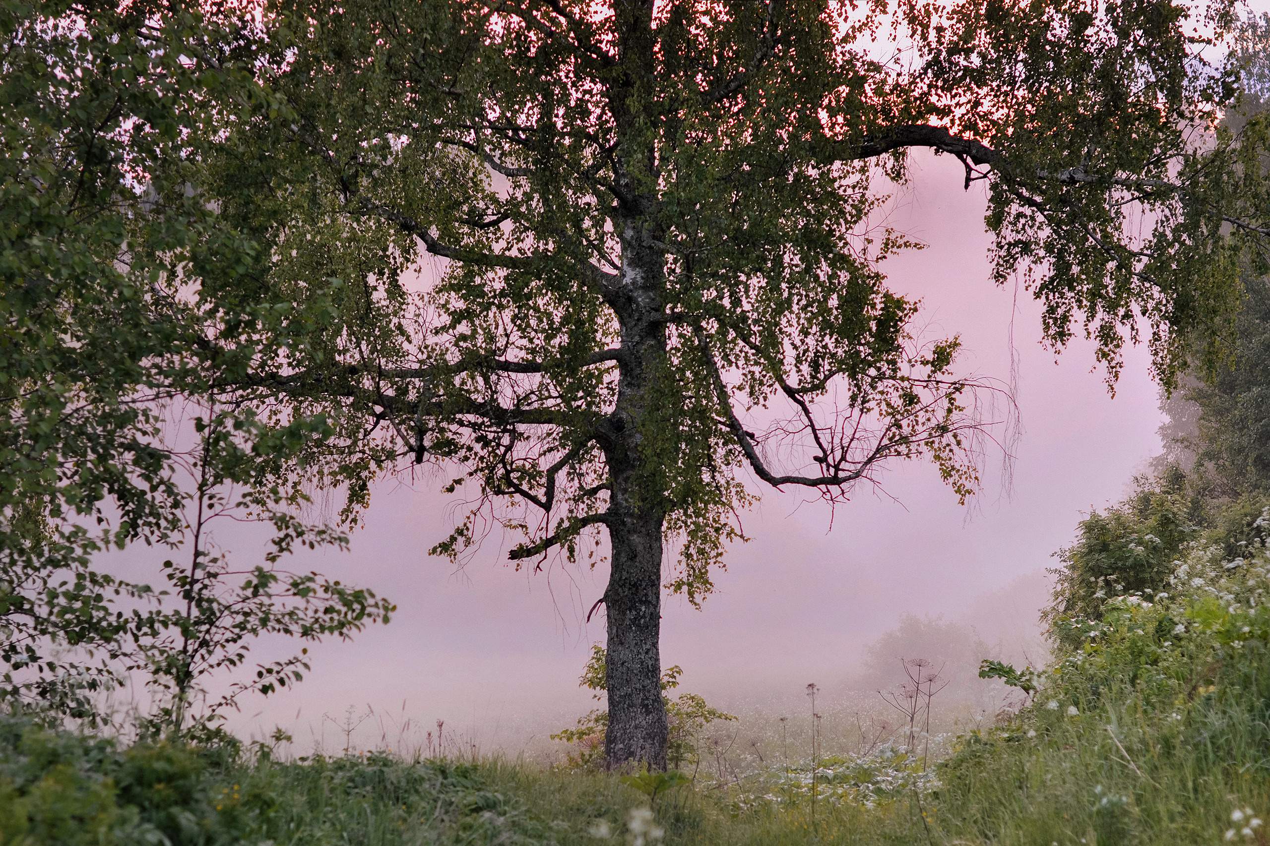 Landscape фото. Фотограф и художник Kerry Moore