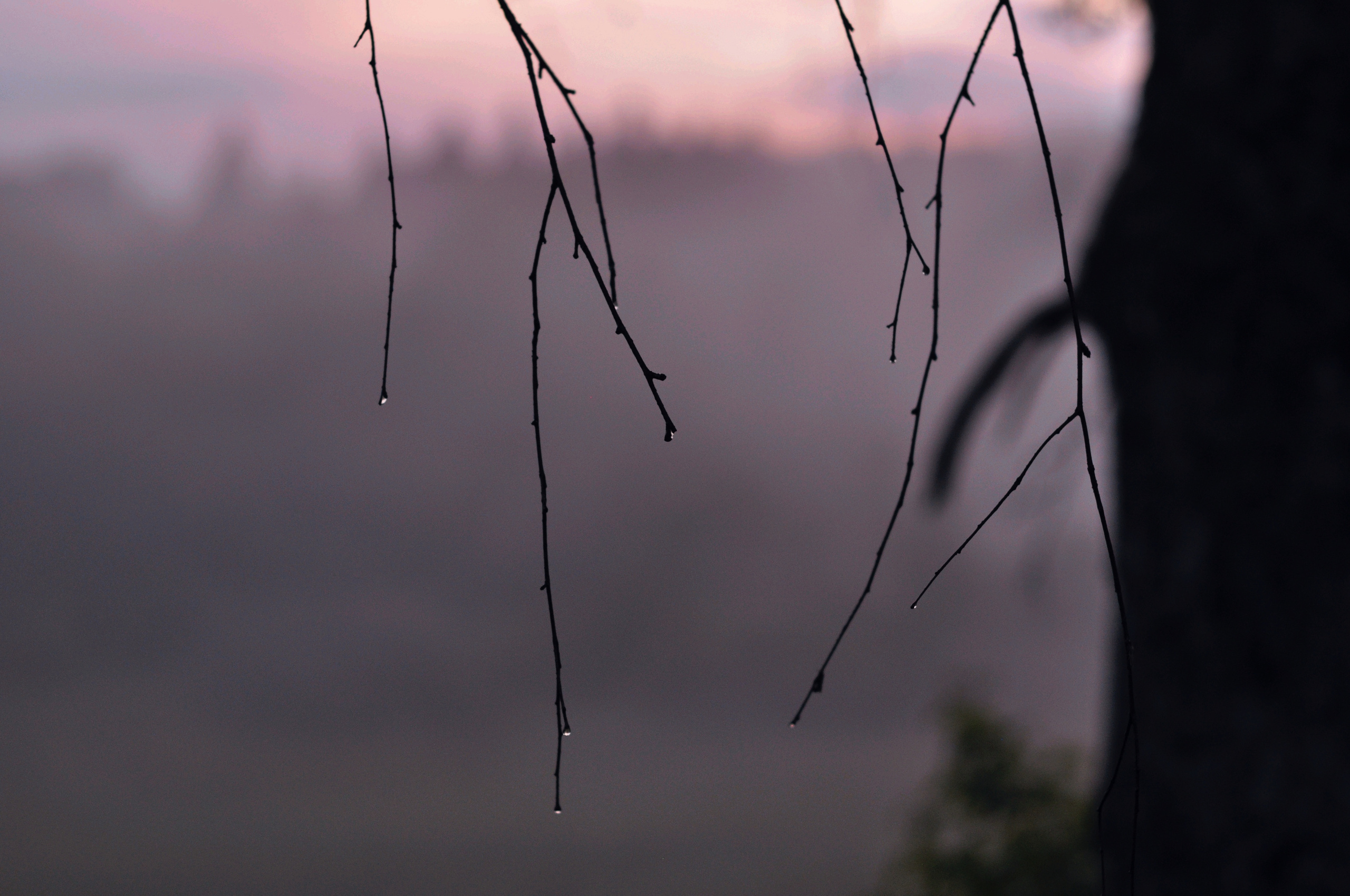 Landscape фото. Фотограф и художник Kerry Moore