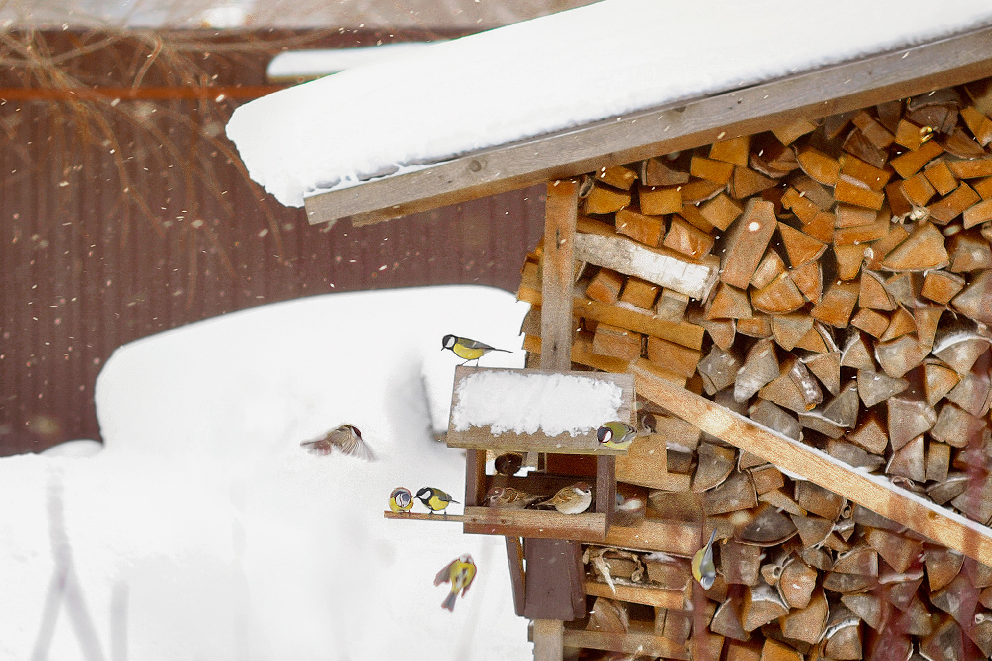 Landscape фото. Фотограф и художник Kerry Moore