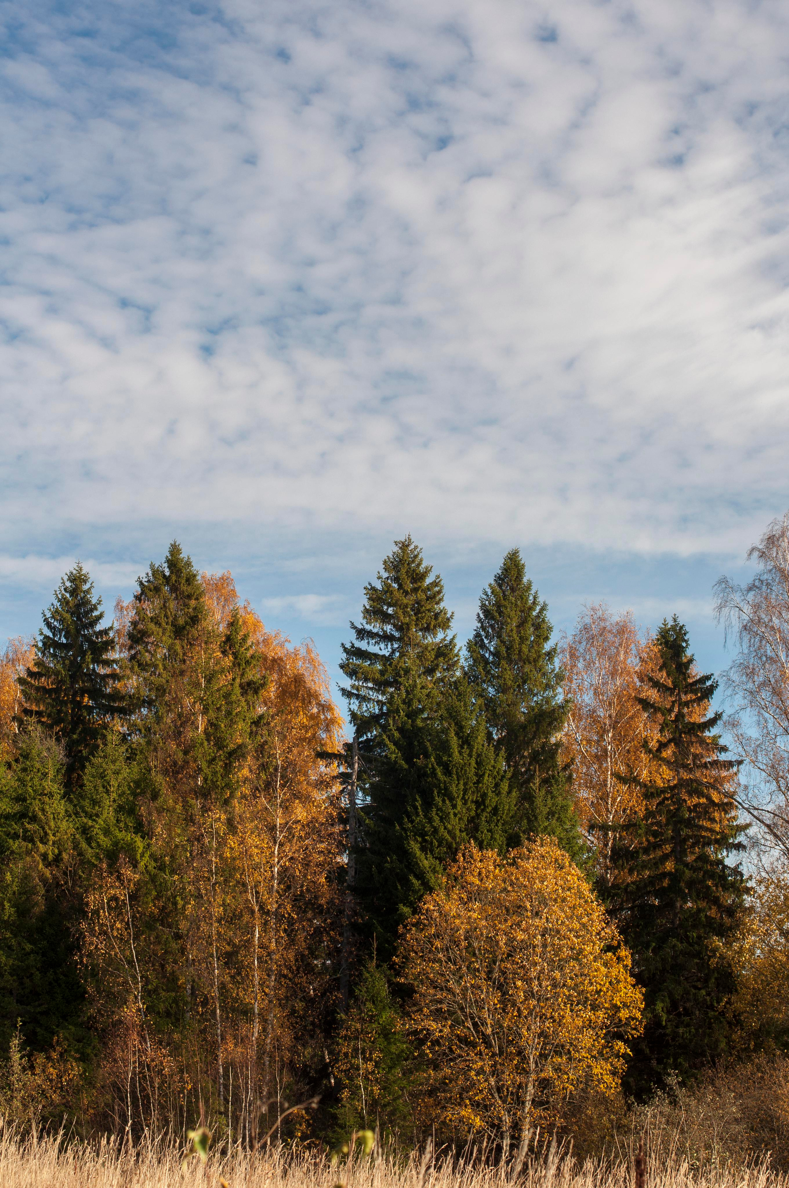 Landscape фото. Фотограф и художник Kerry Moore