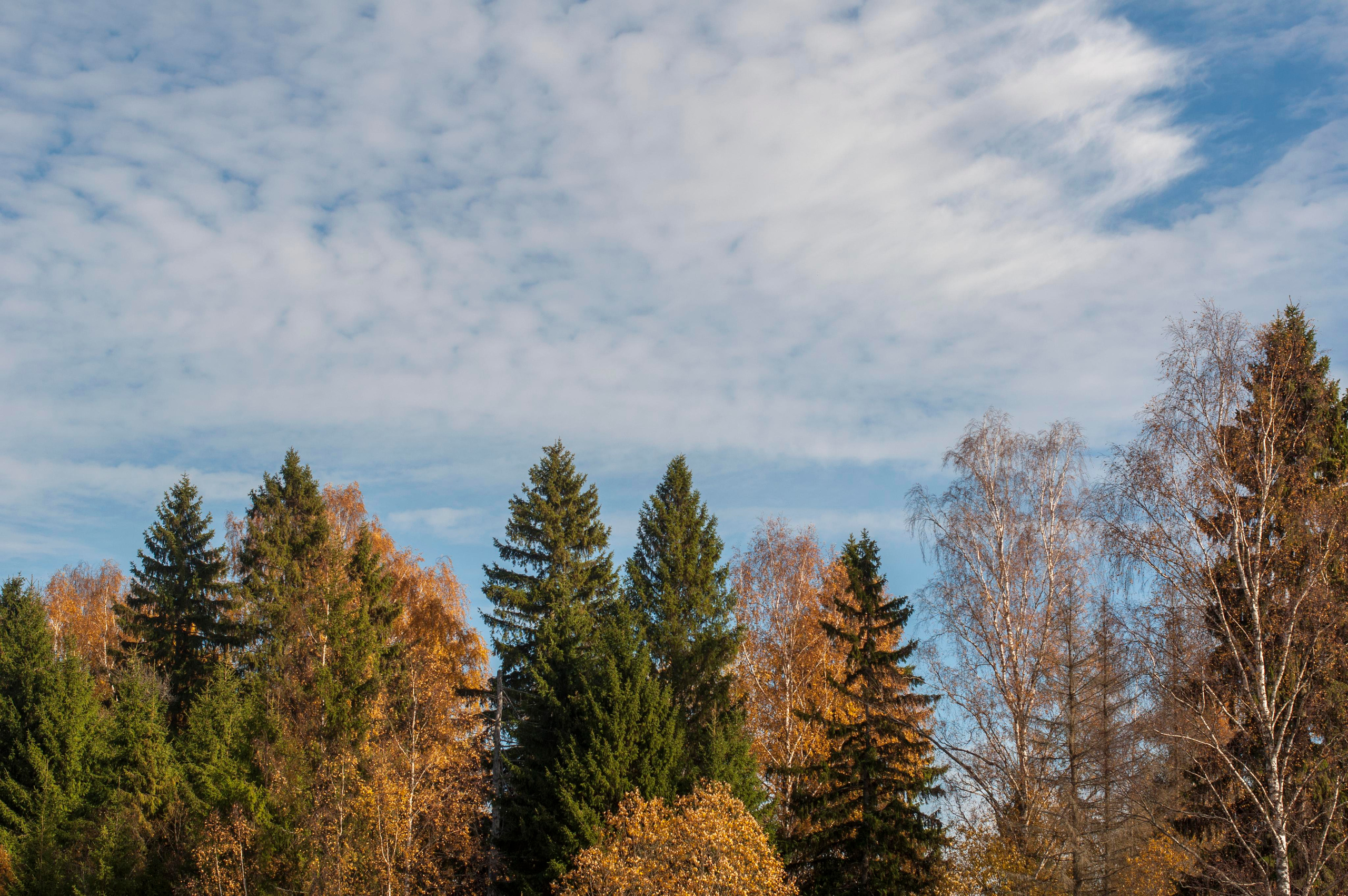 Landscape фото. Фотограф и художник Kerry Moore