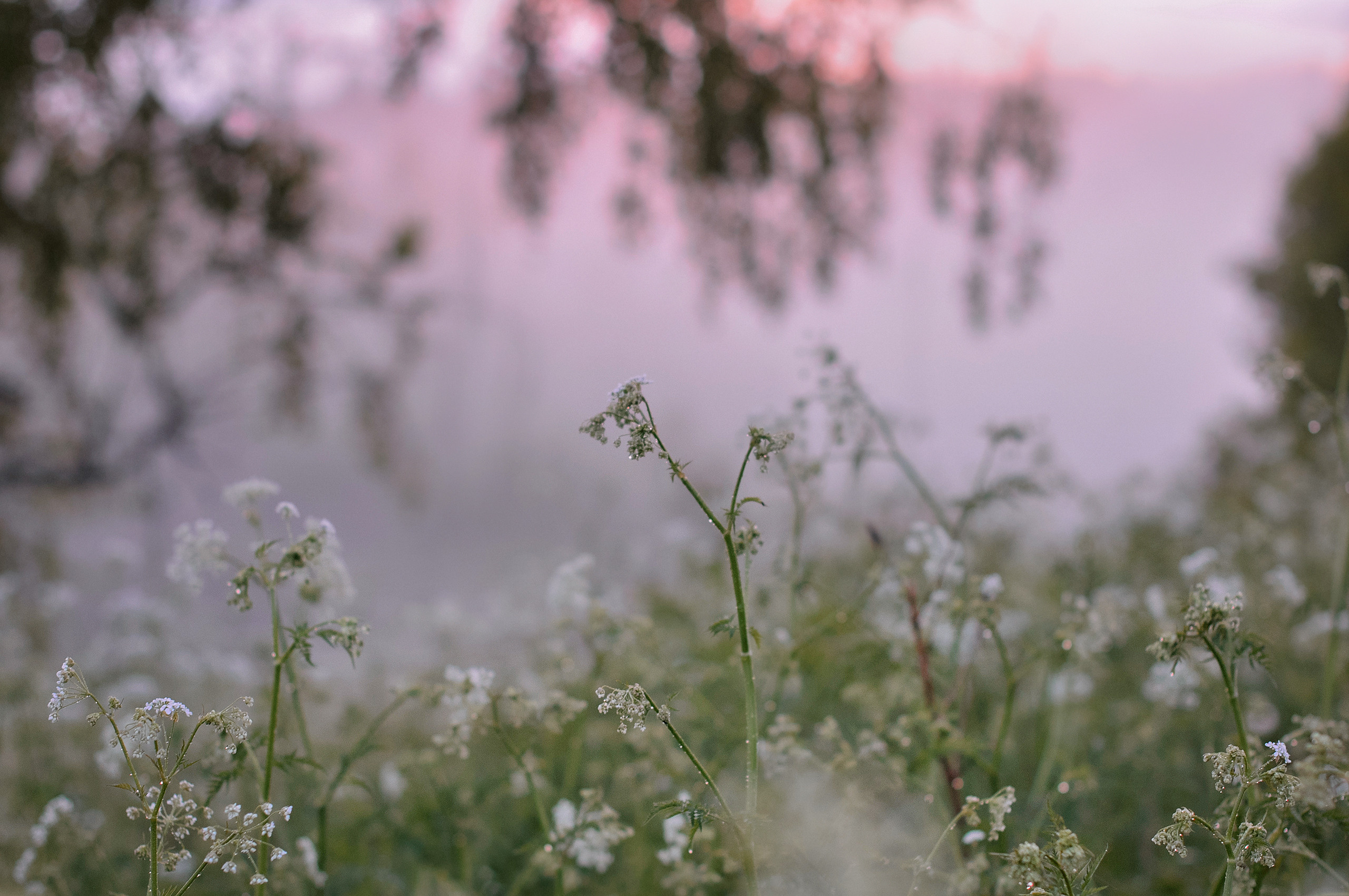 Landscape фото. Фотограф и художник Kerry Moore