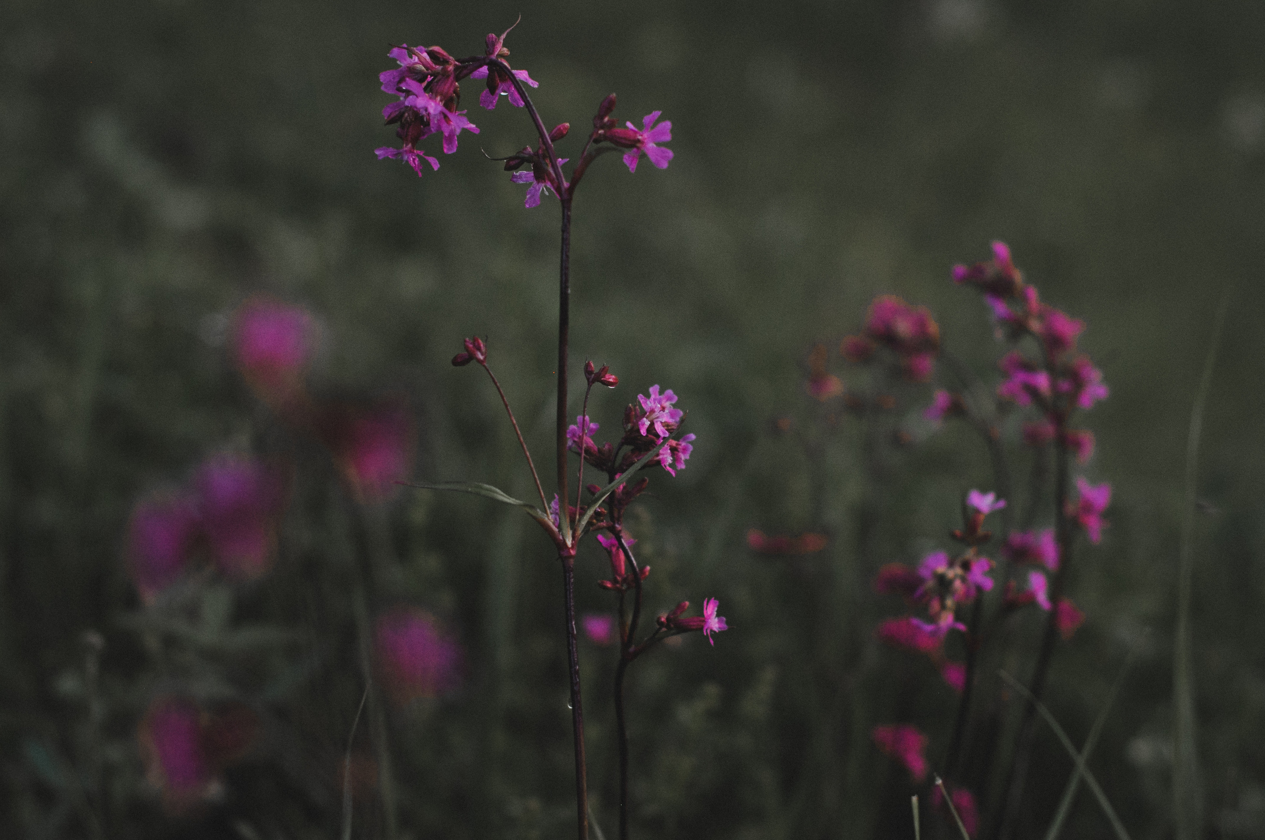 Landscape фото. Фотограф и художник Kerry Moore