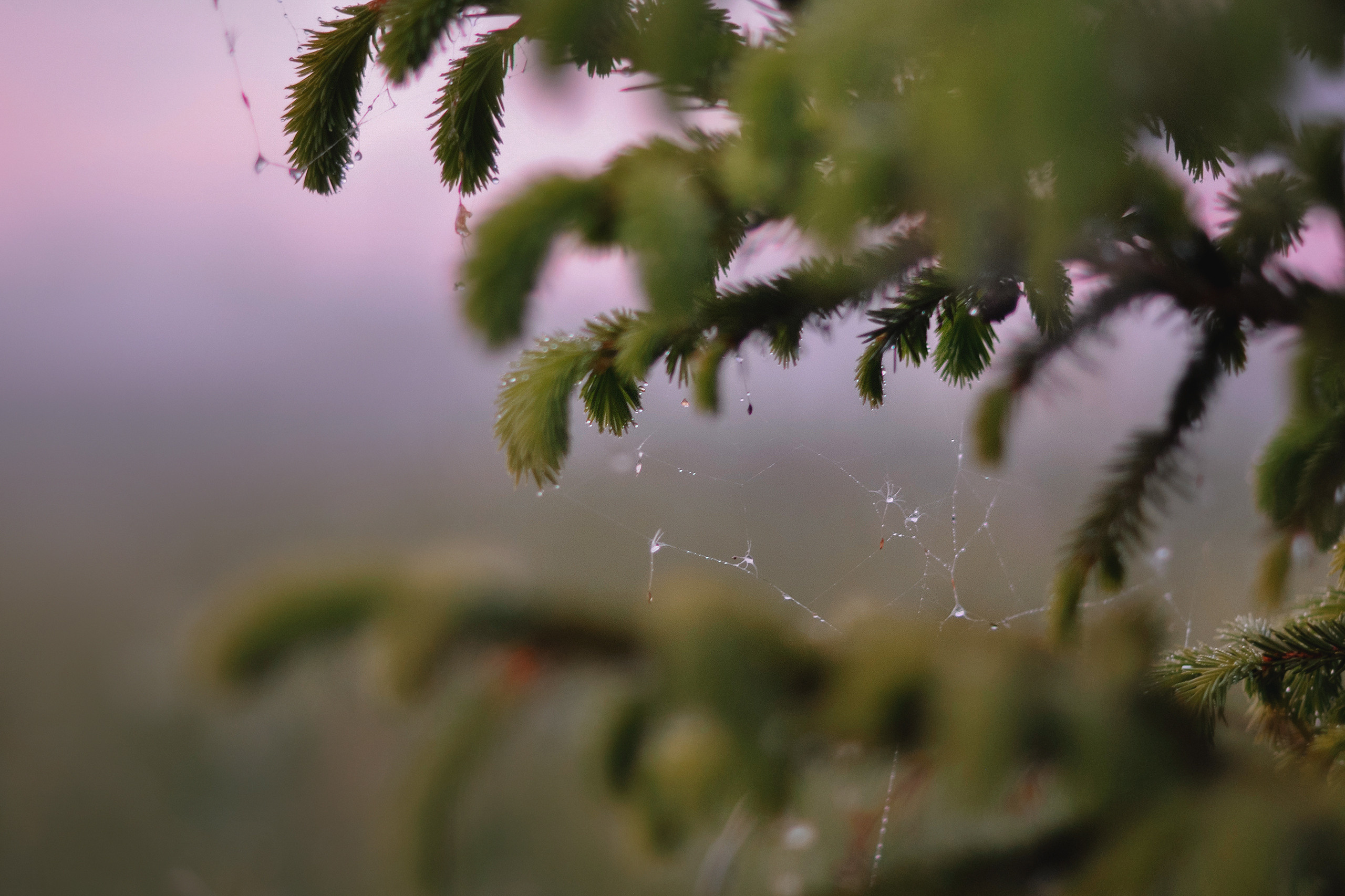 Landscape фото. Фотограф и художник Kerry Moore