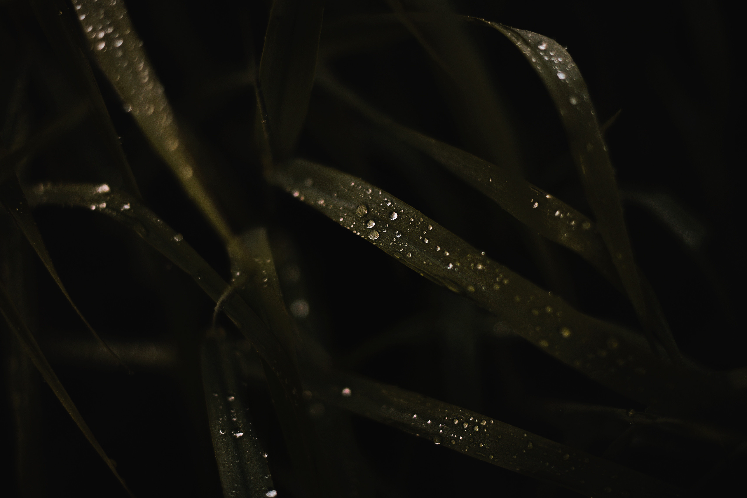 Landscape фото. Фотограф и художник Kerry Moore