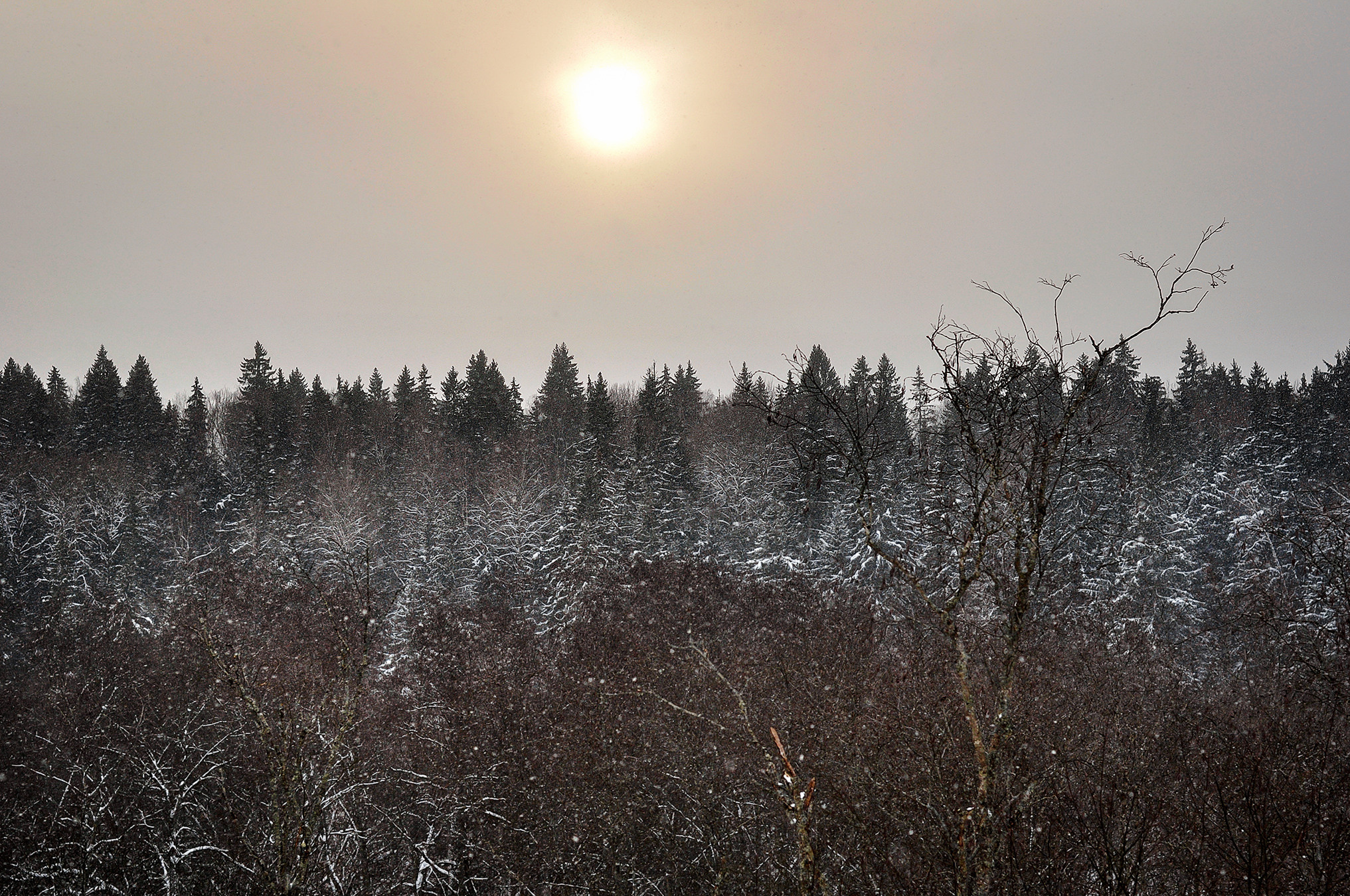 Landscape фото. Фотограф и художник Kerry Moore