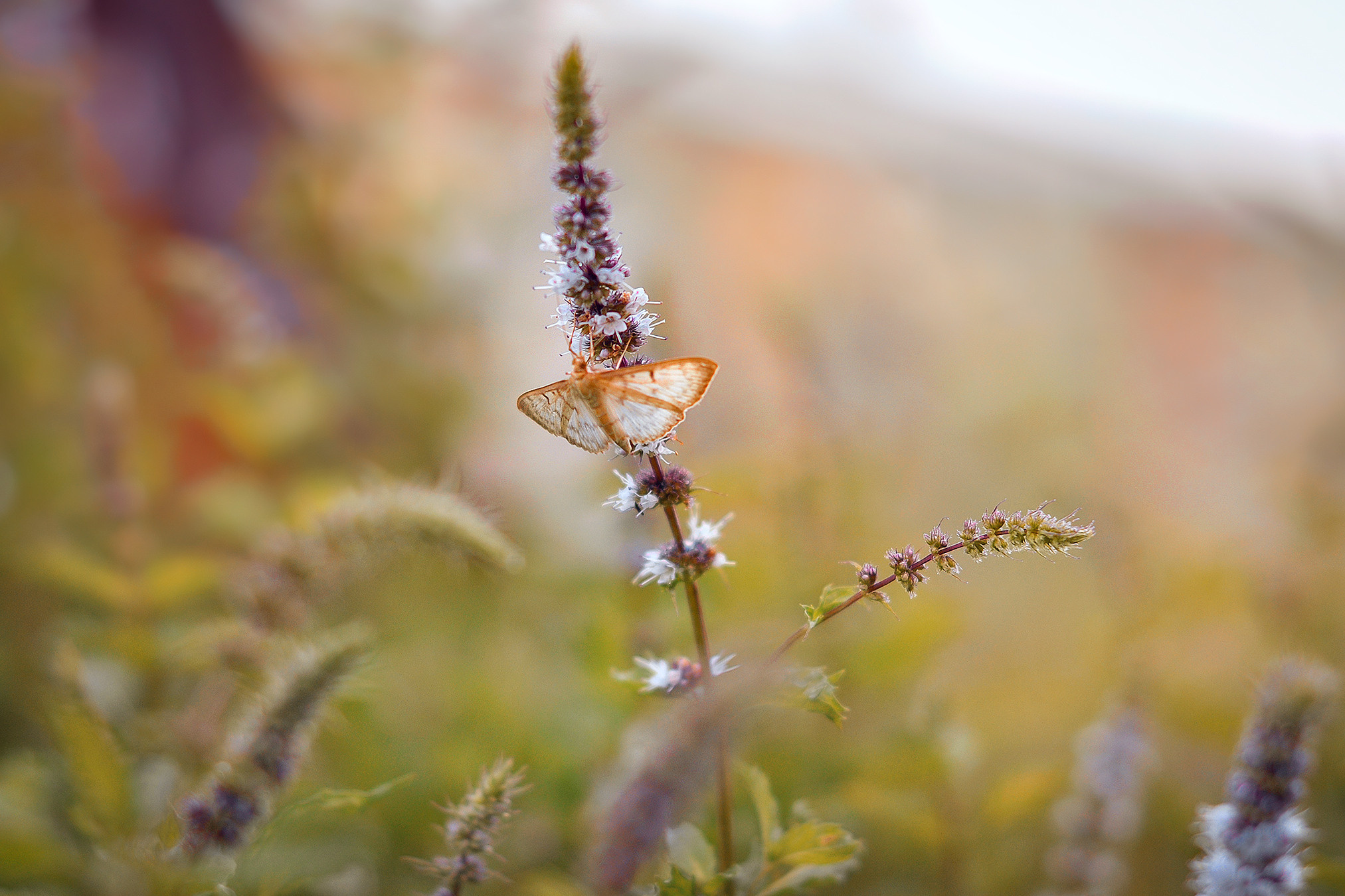 Landscape фото. Фотограф и художник Kerry Moore