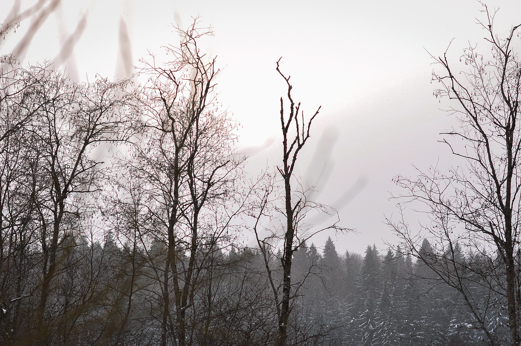 Landscape фото. Фотограф и художник Kerry Moore