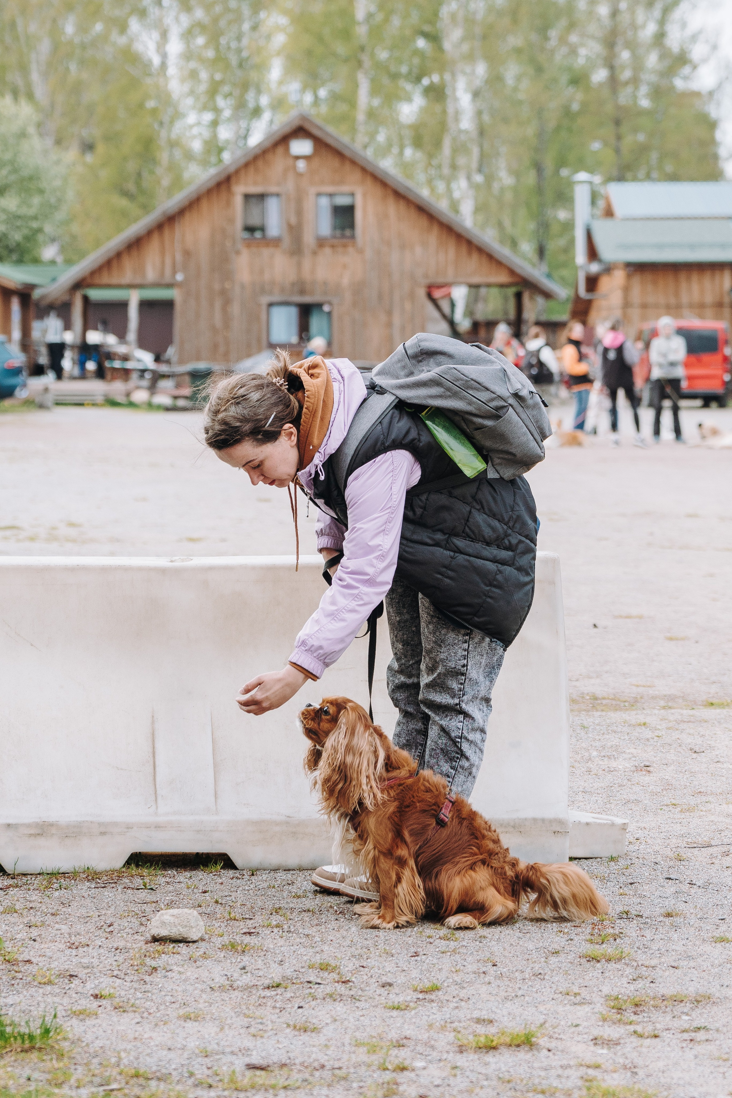 Соревнования по ноузворку в Лосево. Фотограф анималист в Спб недорого Олеся Майорова