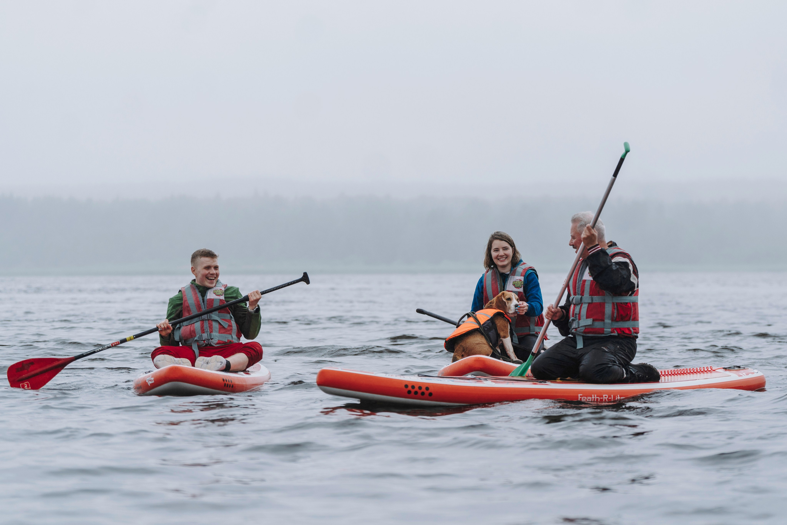 Катание на сапах с собаками. Фотограф анималист в Спб недорого Олеся Майорова