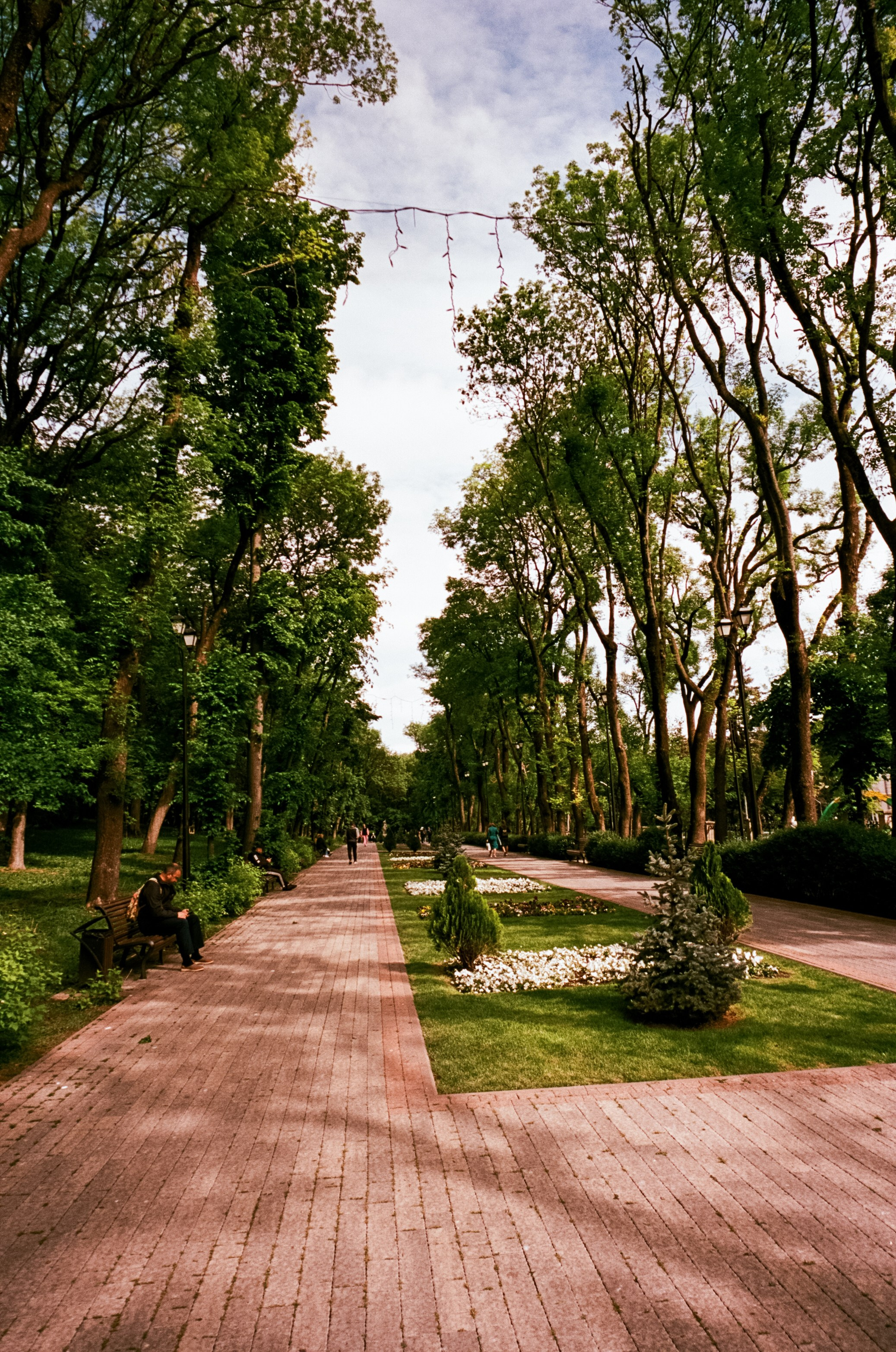 6 мая Парк Ессентуки / Voigtlander BESSA-T / Kodak Aerocolor IV