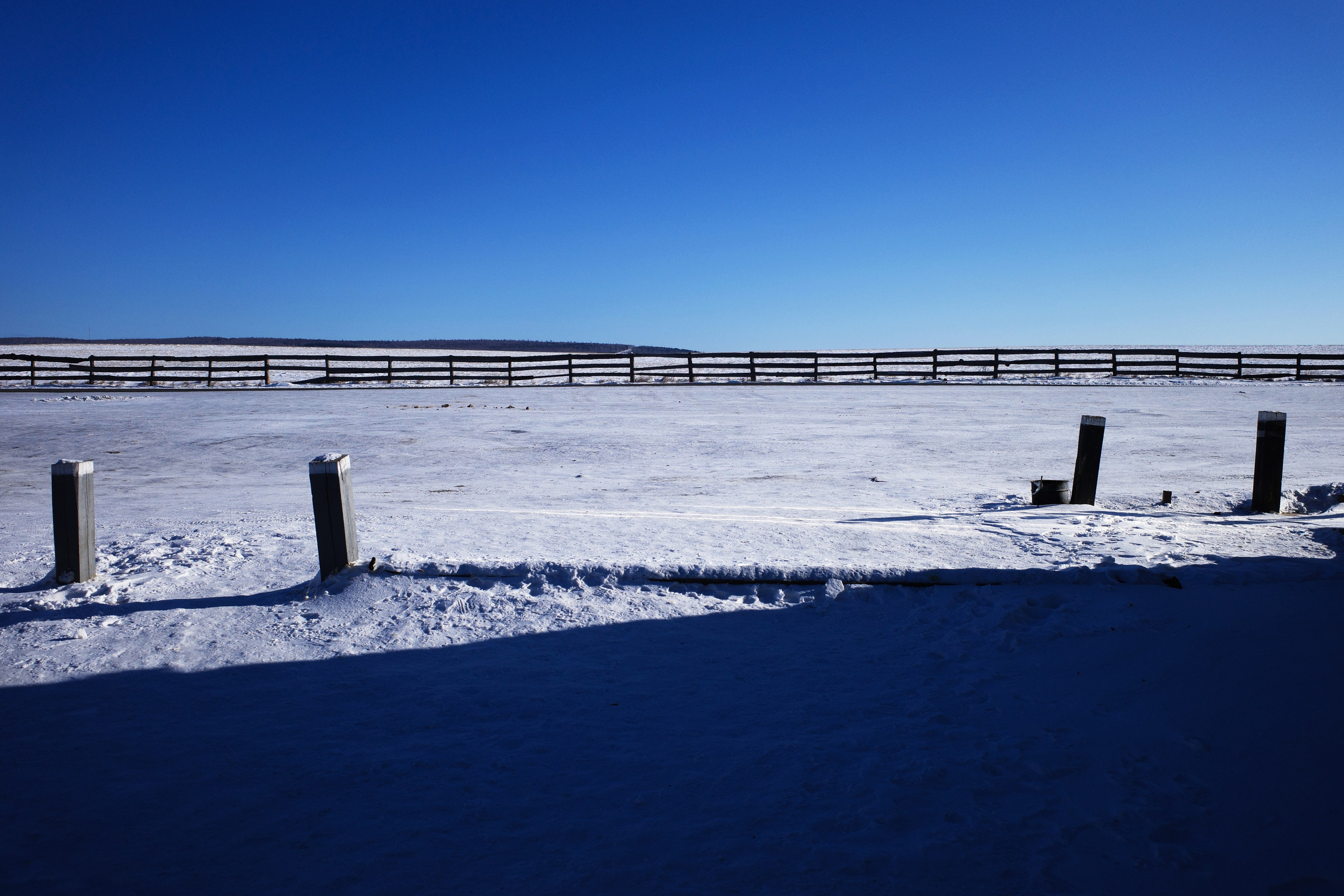 Безмолвие пустоши. Междисциплинарный художник Екатерина Старовойтова