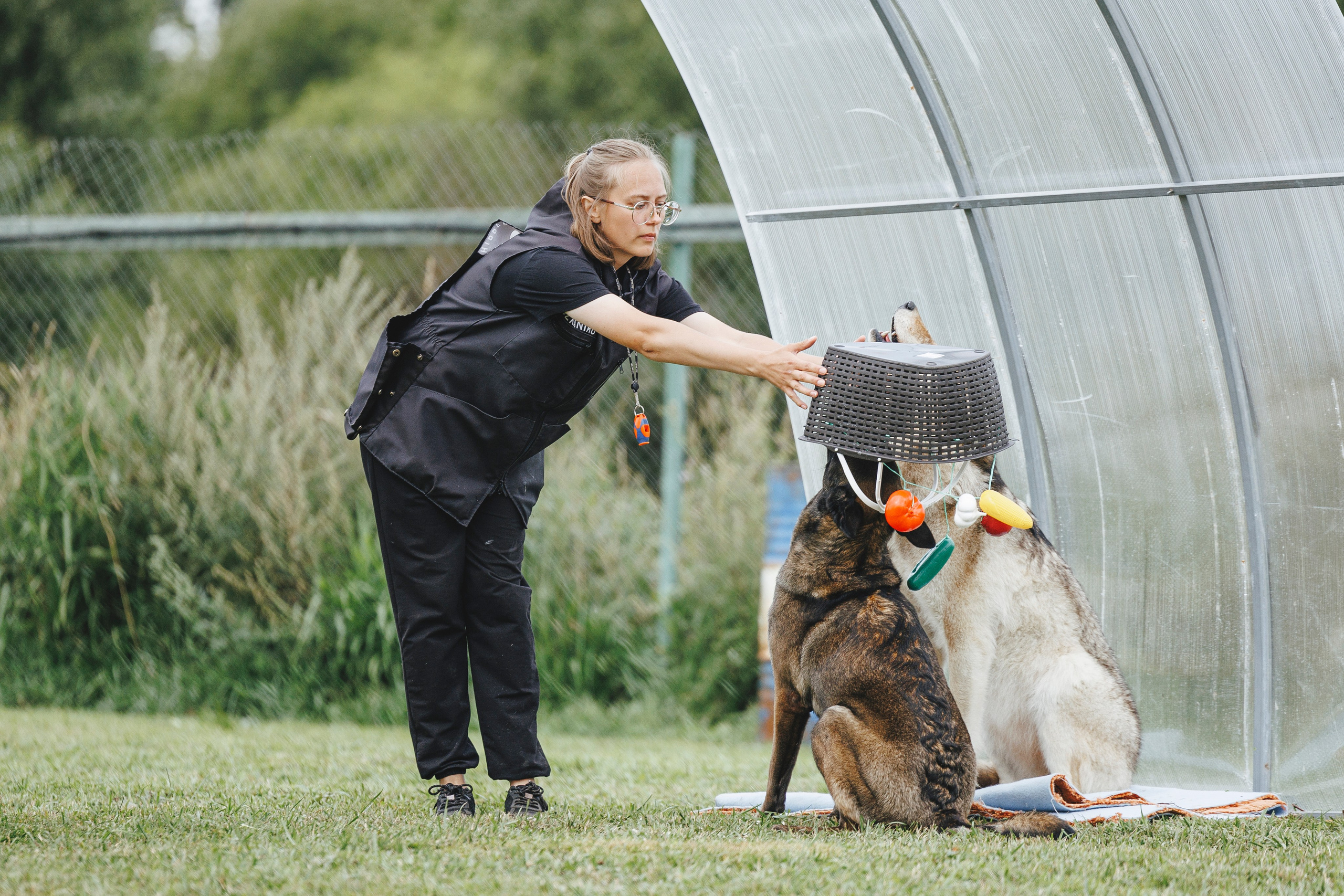 08.08.25-10.08.25 ЧР по мондьорингу г. Вологда. Фотограф-анималист Анна Маринич