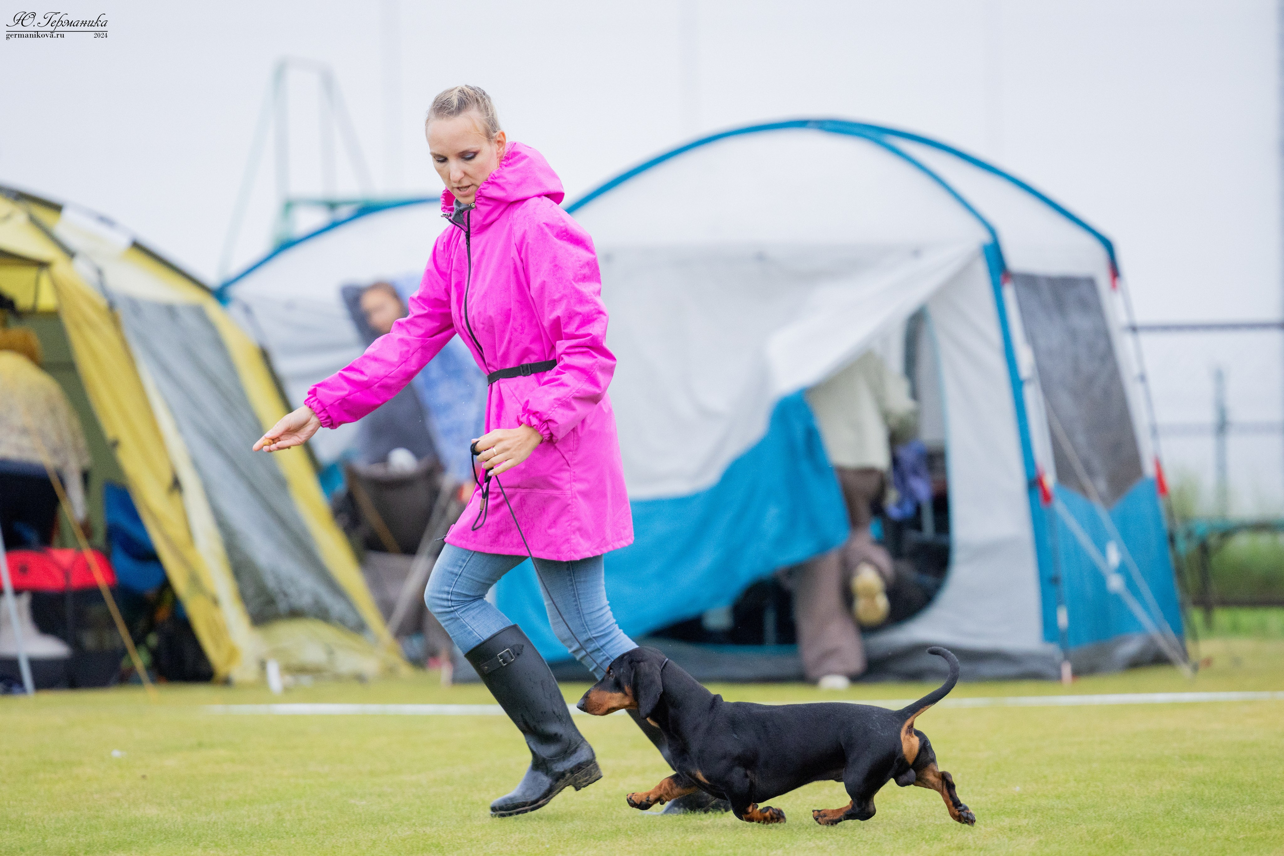 Ярославль 21.07.24 и Балашиха 13.07.24. Фотограф-анималист Юлия Германика