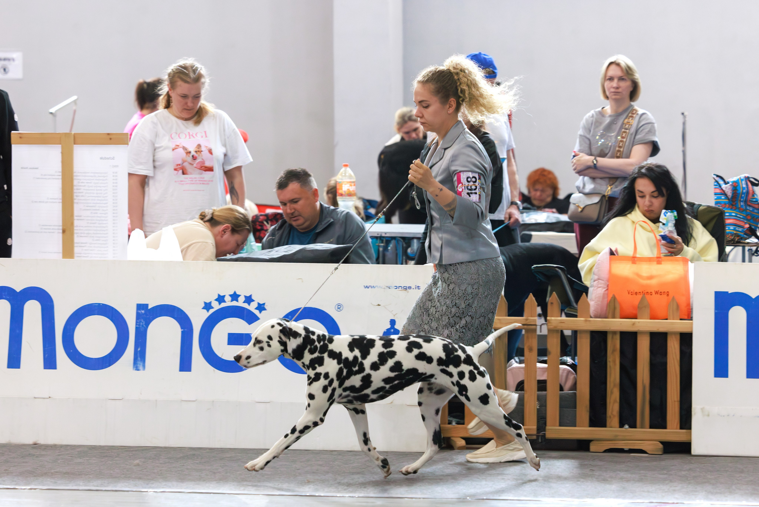 Ереван 2х CACIB 29-30.04.2025. Фотограф-анималист Юлия Германика