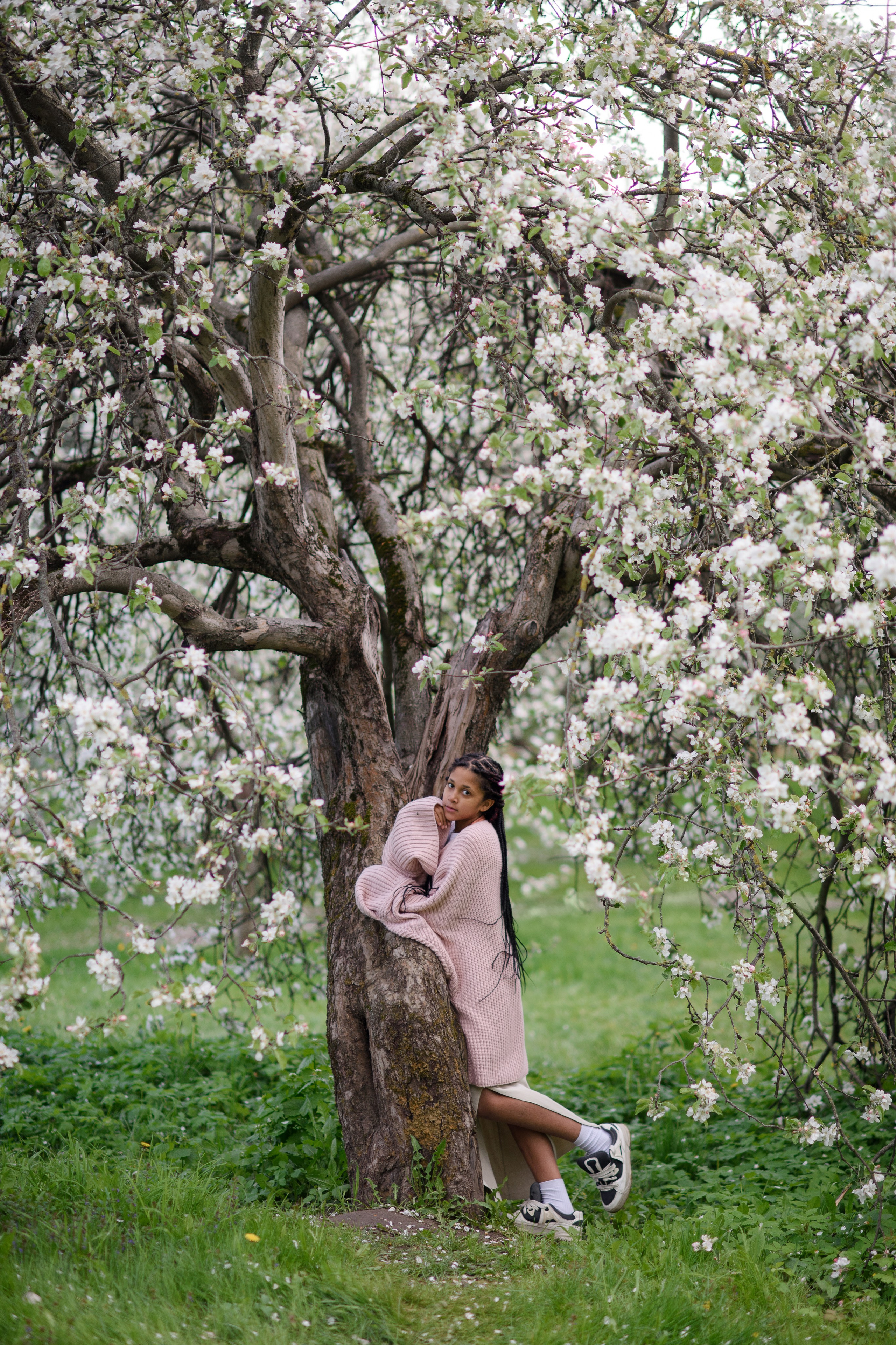 Яблони в Коломенском. Ясмина. Главная