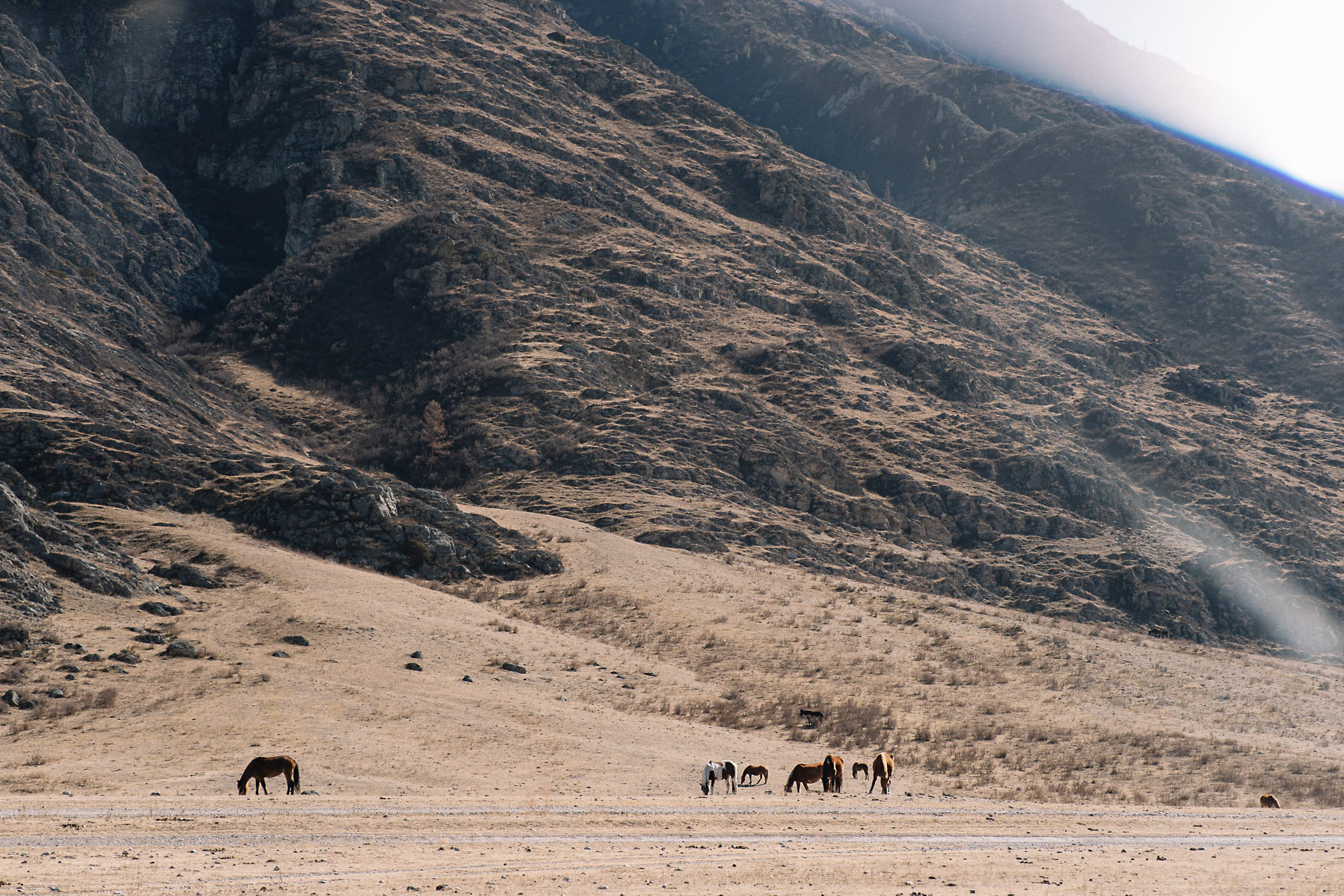 ТК Европа — 20 лет — Clever. Репортажный (Event) фотограф в Барнауле | Даниил Маркин | Качество и вайб